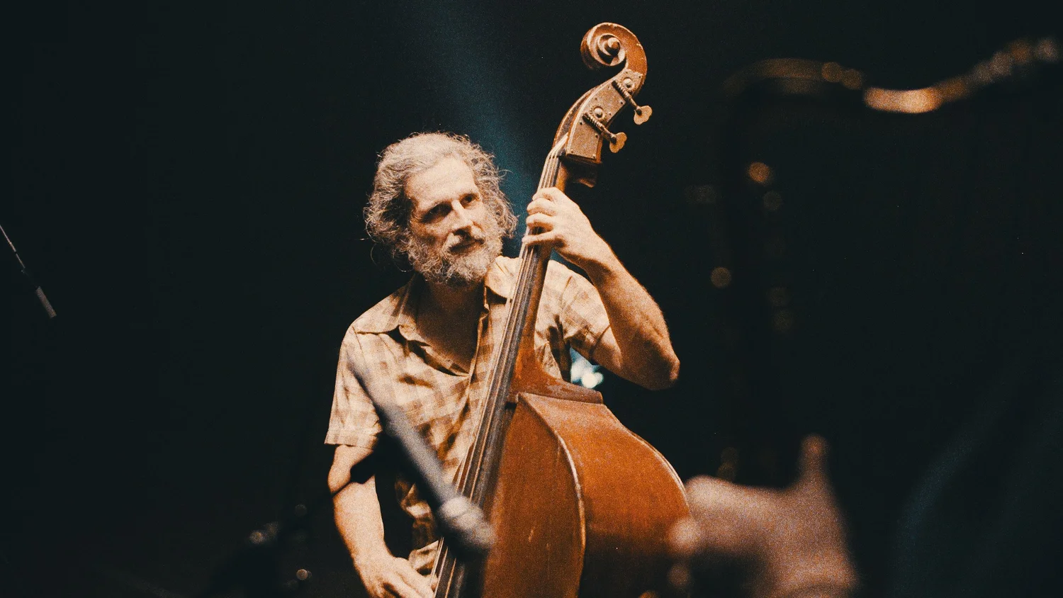 Brighton Jazz Festival