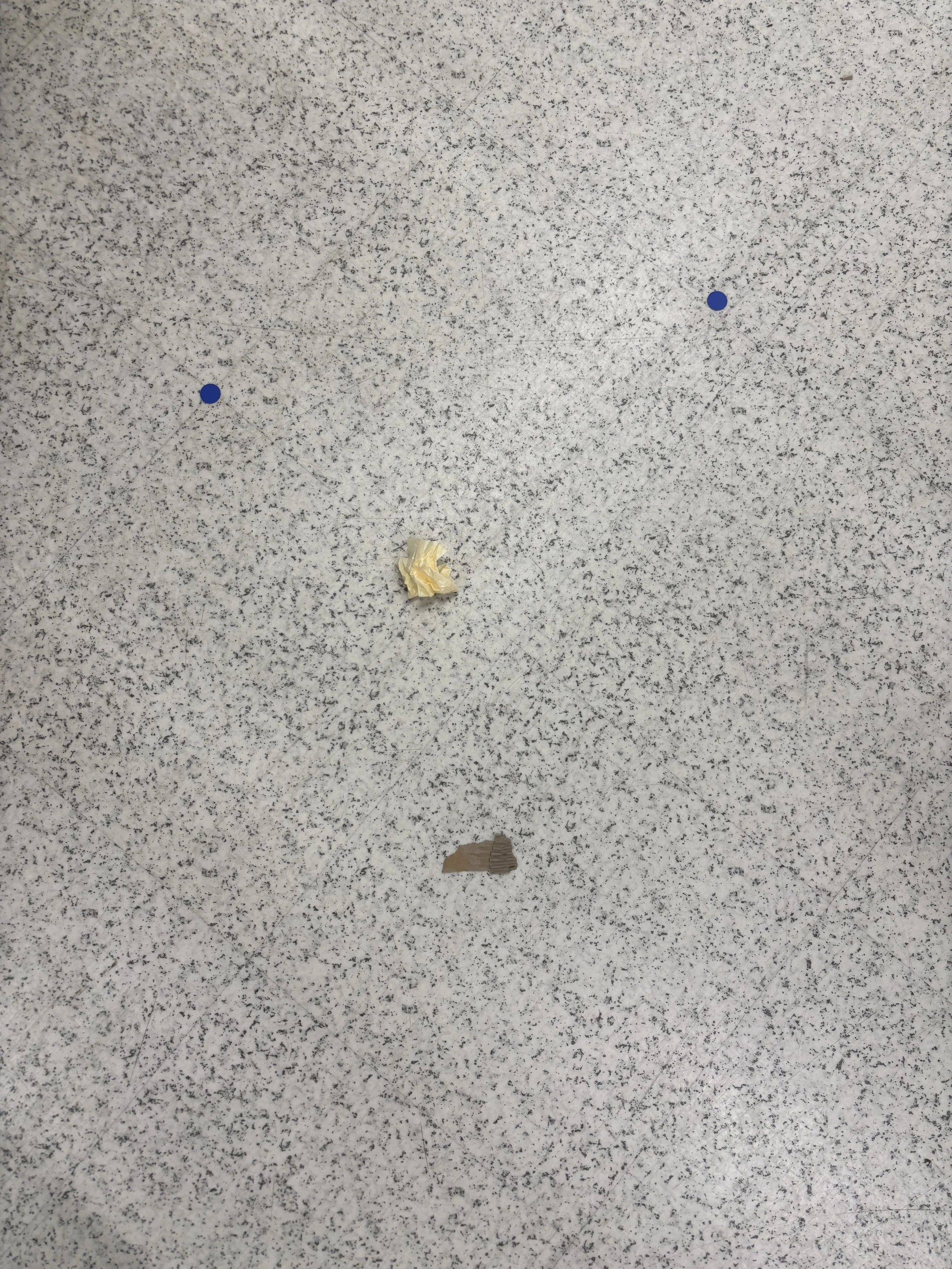 IMG_6066.jpeg