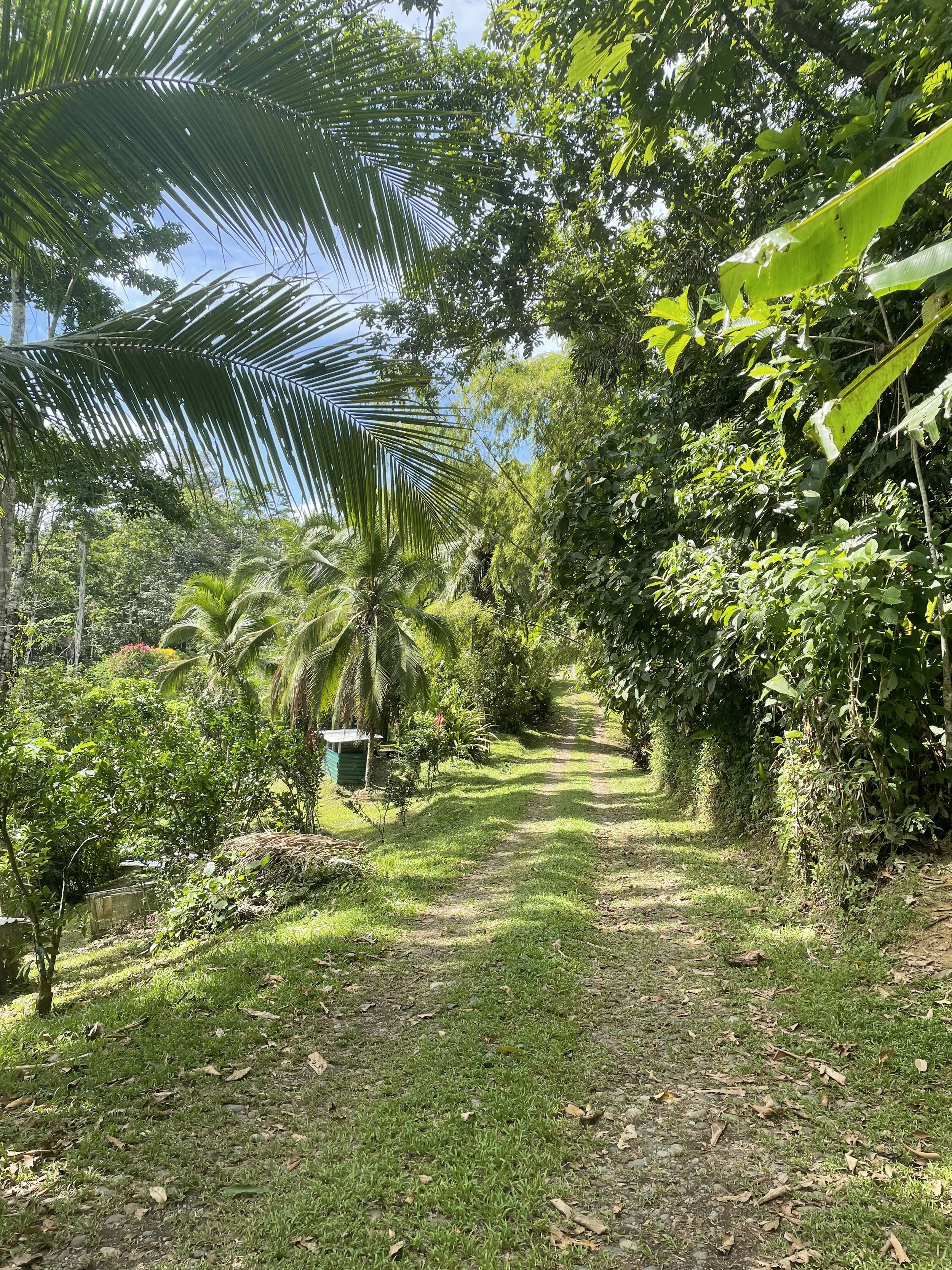 Costa Rica- permamculture .jpg