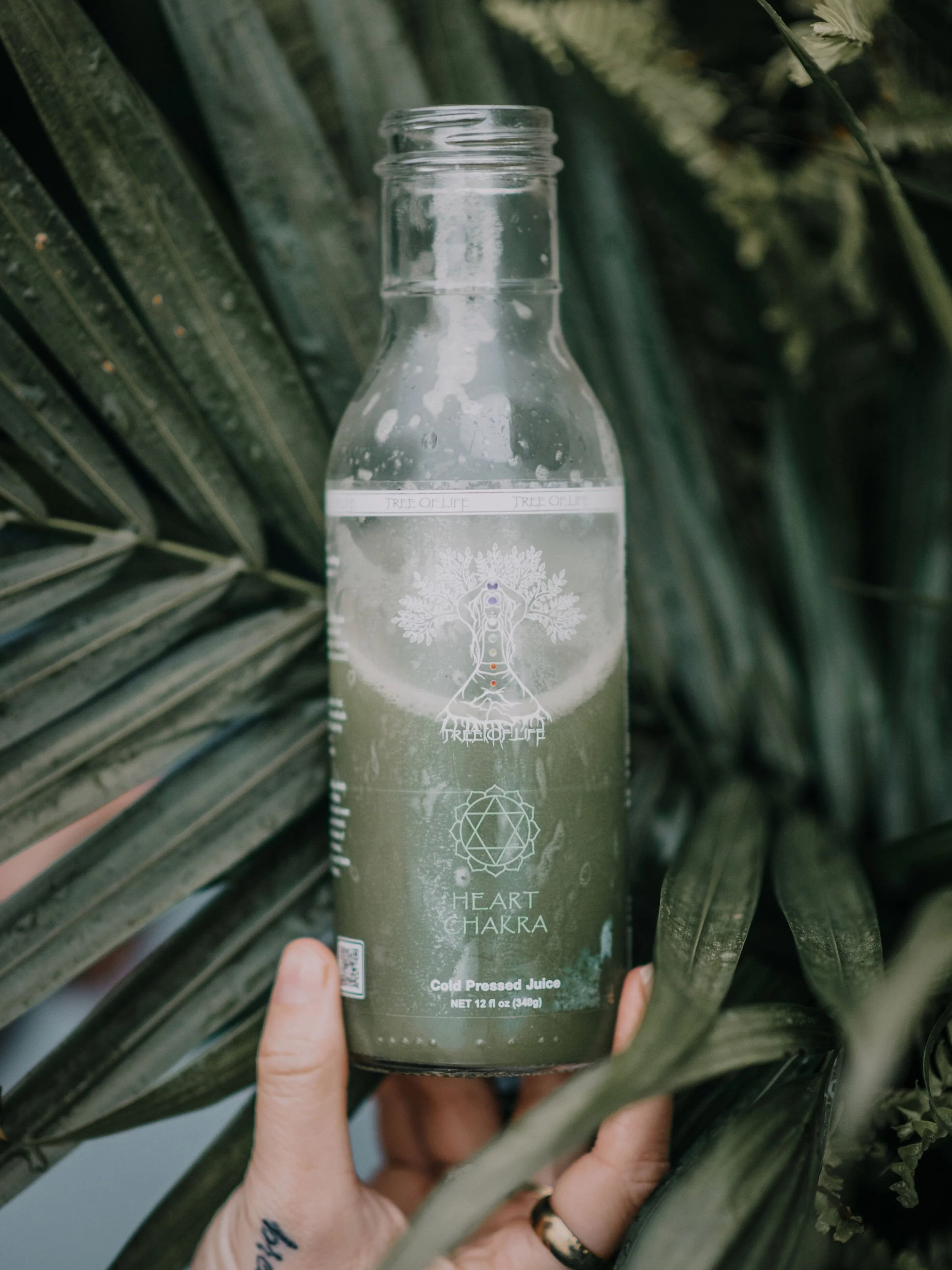 cold-pressed-juice-in-virginia-beach