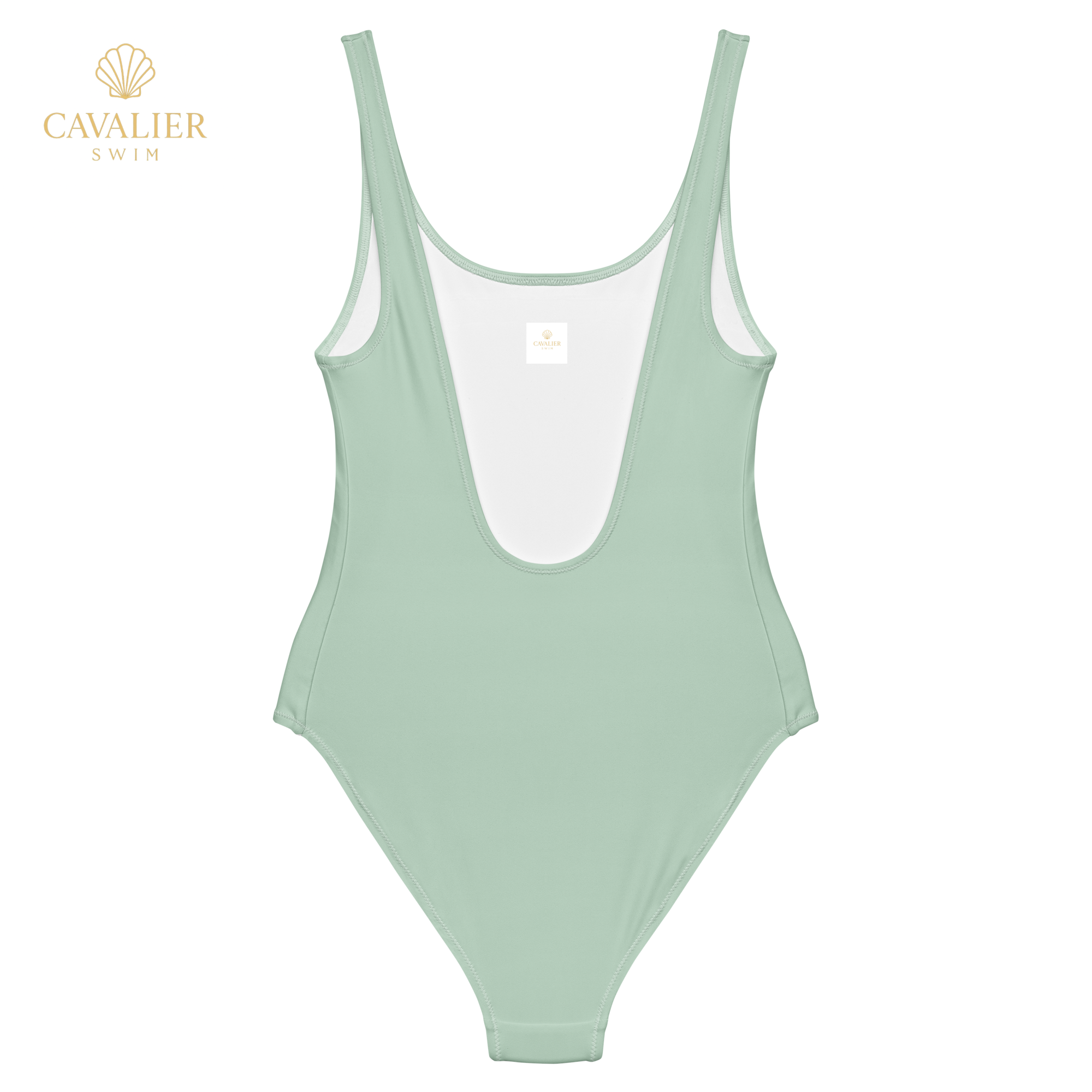 Coral Sage One-Piece
