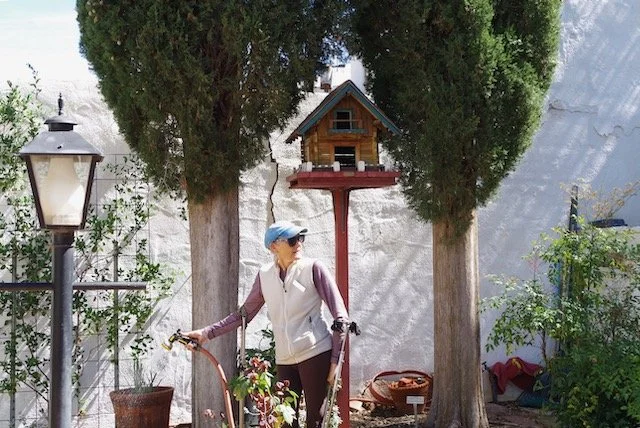 IMG_4933 Hilary:garden.jpeg