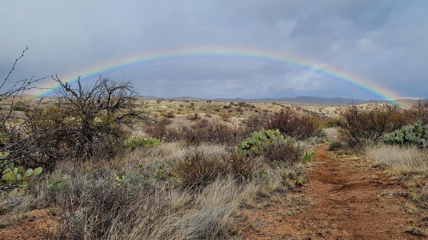 Photo by Tom Buckley on the Windmill Trail today. #oraclestatepark