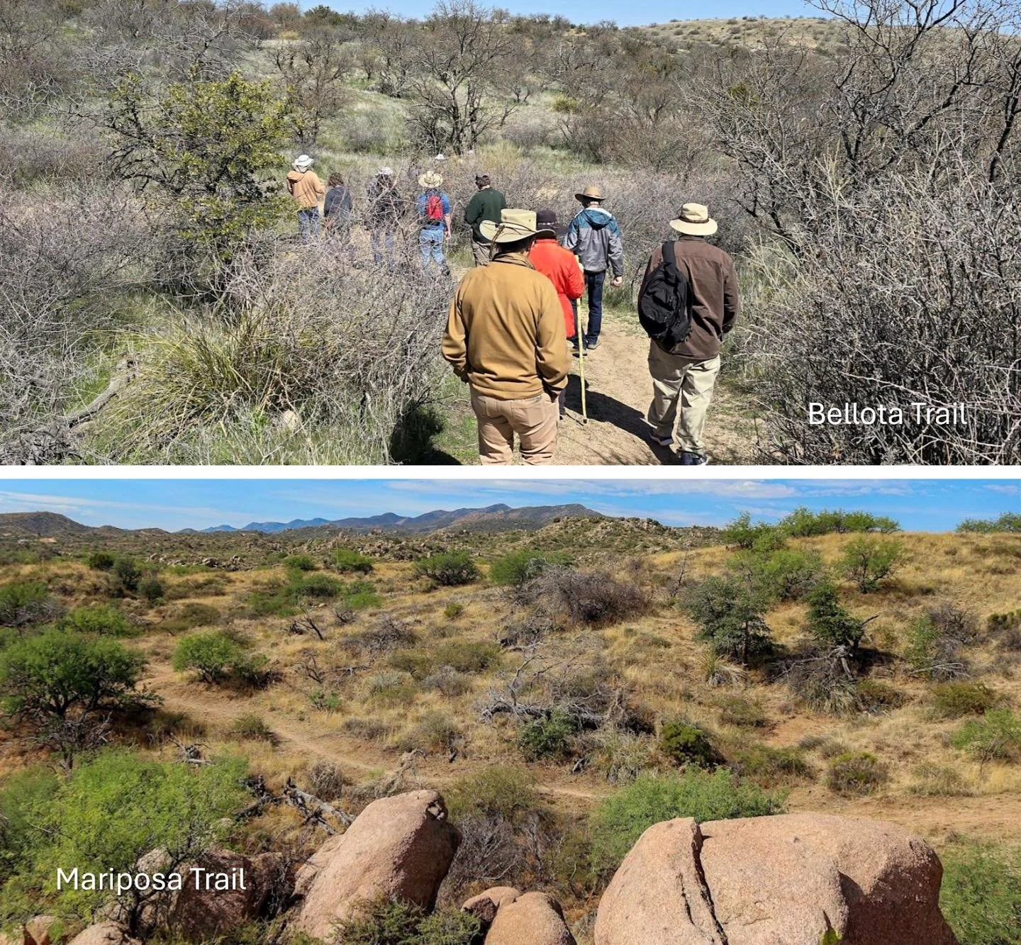 Trail Upgrade Project at Oracle State Park has begun! 
Oracle State Park is one of the largest state parks in Arizona, covering 4,000 acres of foothills of the Catalina Mountains.  Nearly 20 miles of trails provide hiking adventures for visitors from