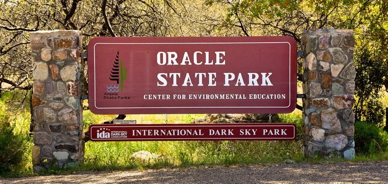 Oracle Night Sky Charm