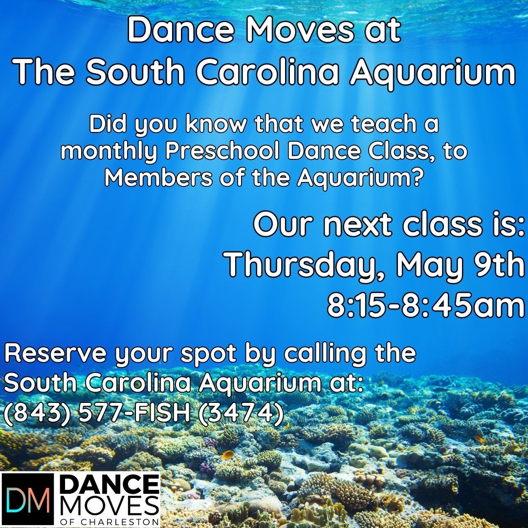 Did you know that Dance Moves hosts a monthly dance class for aquarium members? 🐠 Join us for our next session on Thursday, May 9th, from 8:15-8:45am. Save your spot now by calling the South Carolina Aquarium at 843-577-FISH⁠
⁠
@southcarolinaaquariu