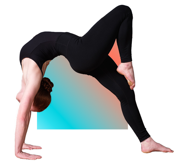 parent-portal-dance-moves-of-charleston