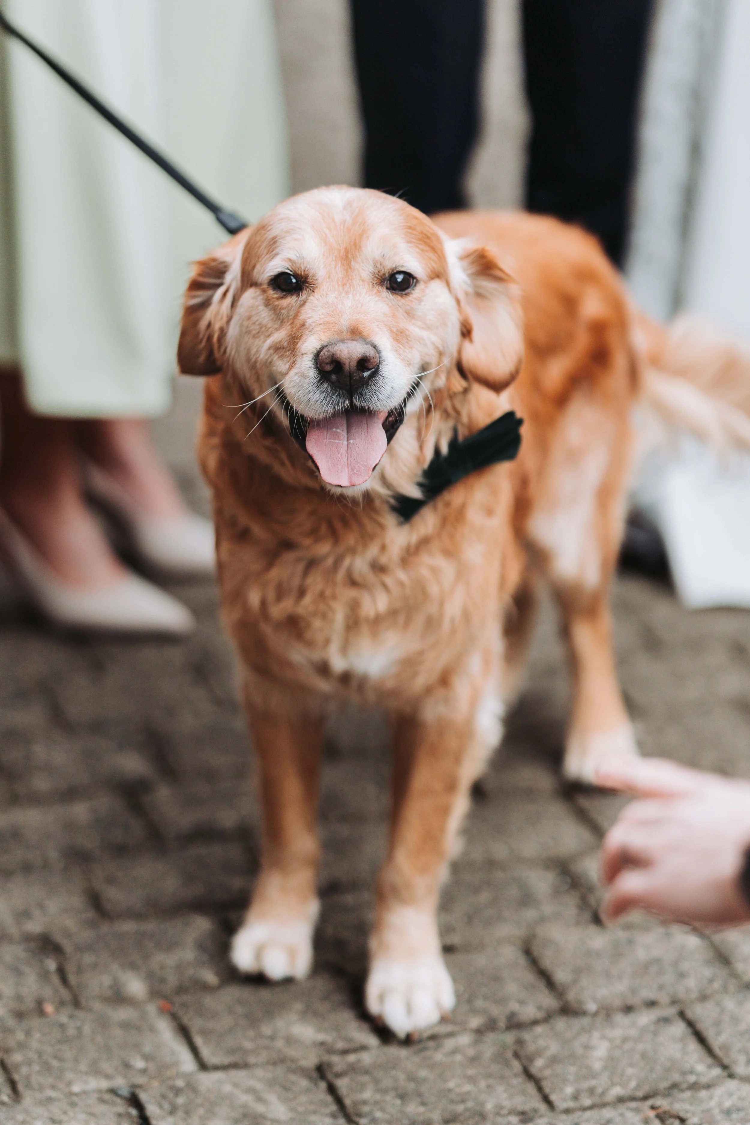 Limepark-wedding-photography-104.jpg