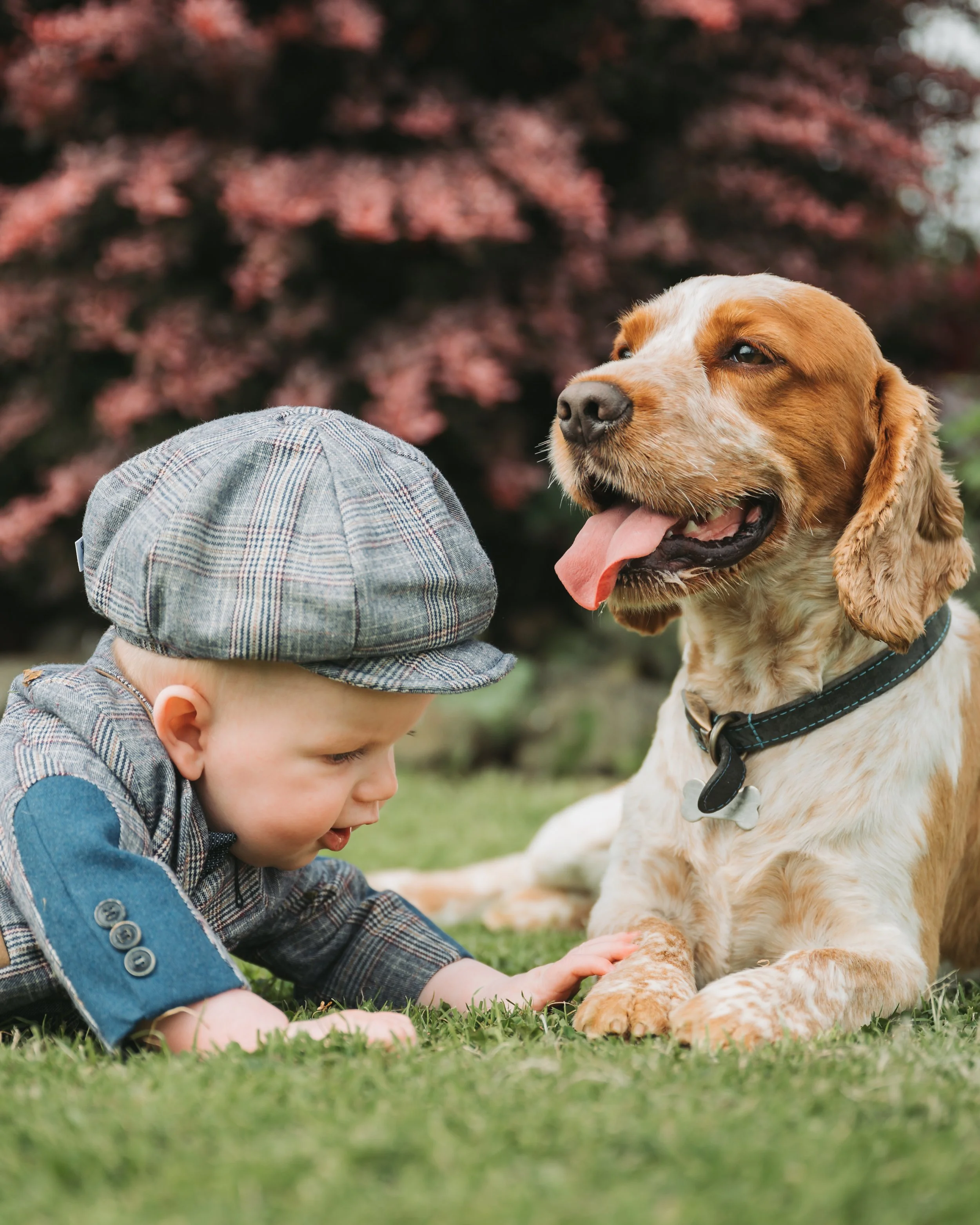 Mid Ulster Seasonal Family Photography: Capturing the Beauty of Northern Ireland's Changing Landscapes