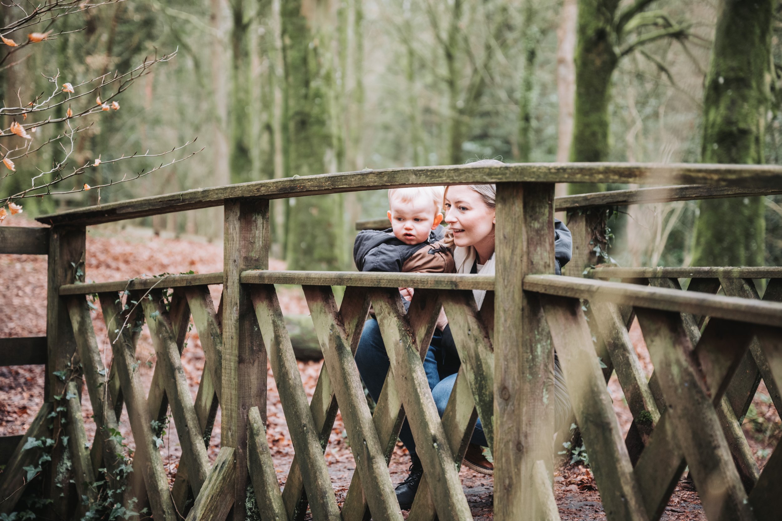 Northern Ireland Family Pet Portraits: Celebrating Beloved Companions in Magherafelt"