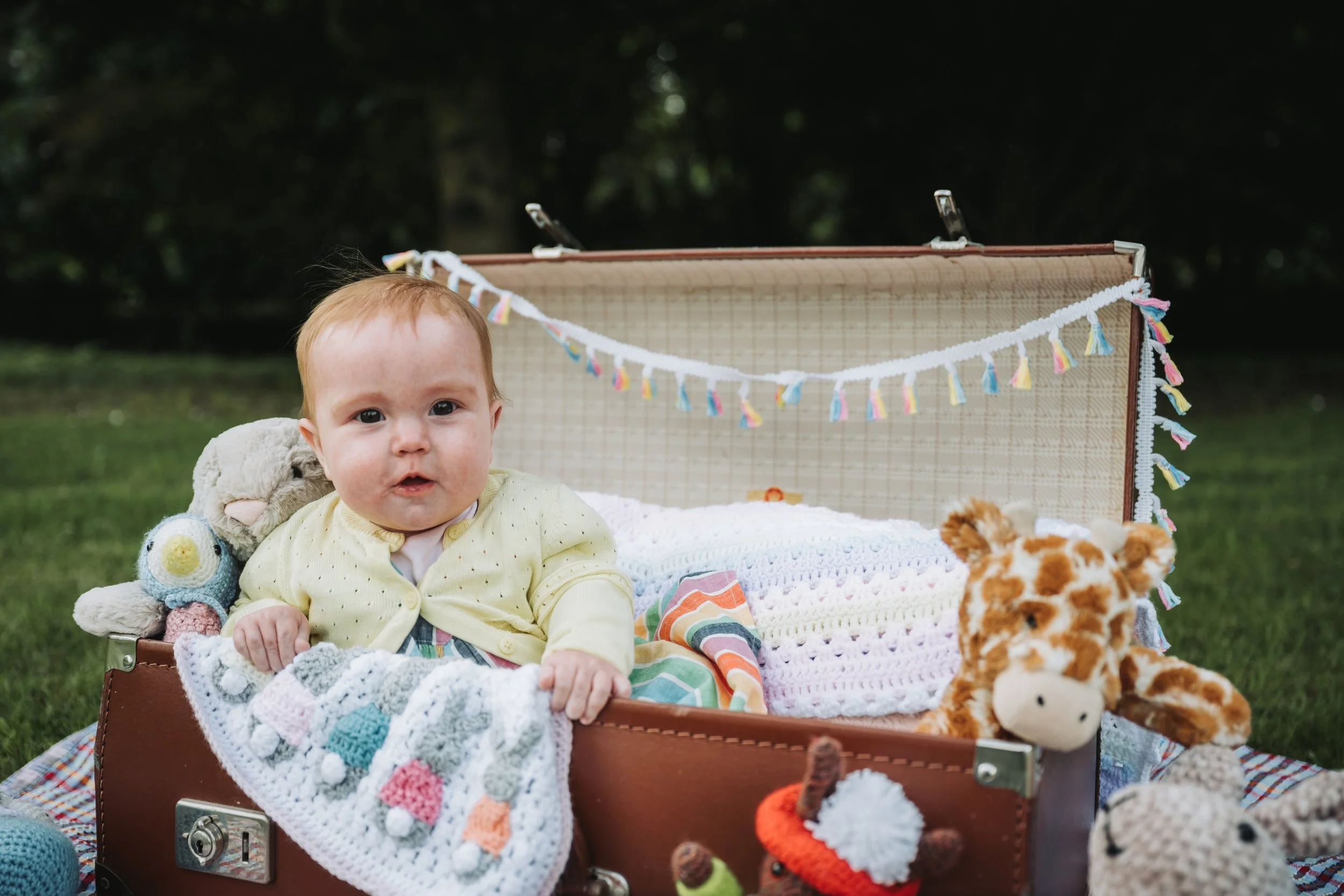A young baby with light brown hair and a yellow shirt sitting inside an open vintage suitcase outdoors, surrounded by stuffed animals and knitted toys, with a colorful tassel garland hanging on the suitcase. The background is a blurred green outdoor 