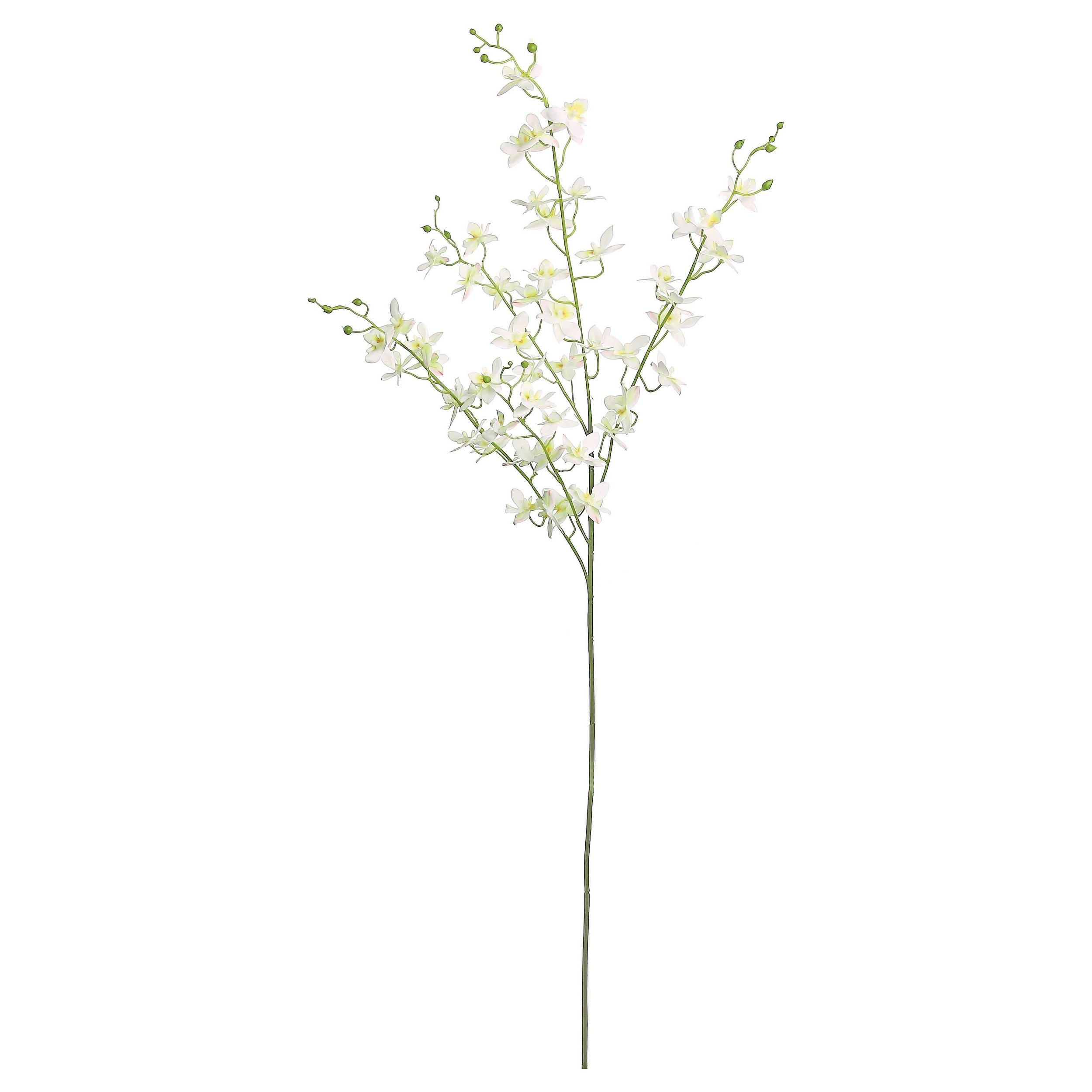 White Mini Star Orchid Spray