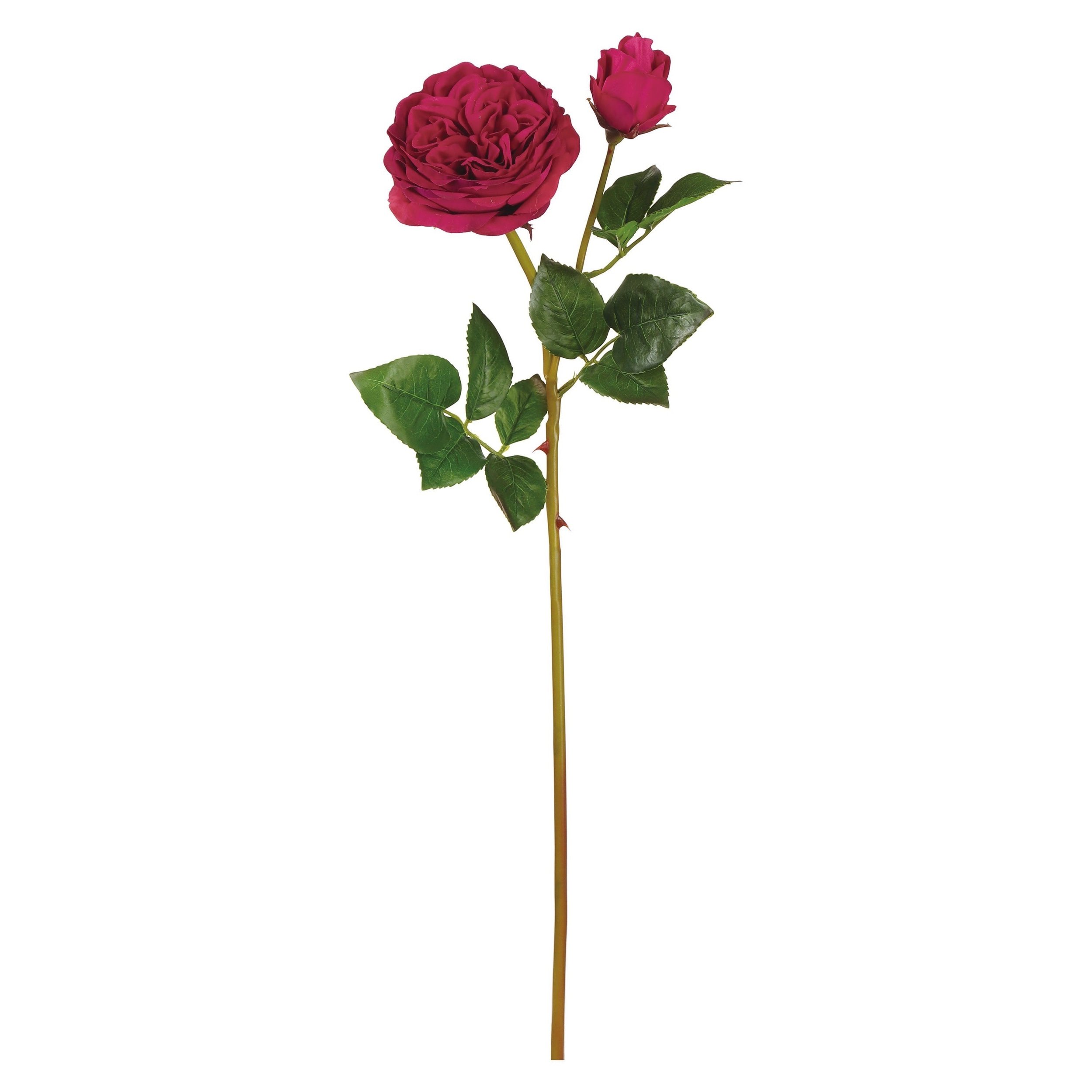 Natural Touch Red Cabbage Rose