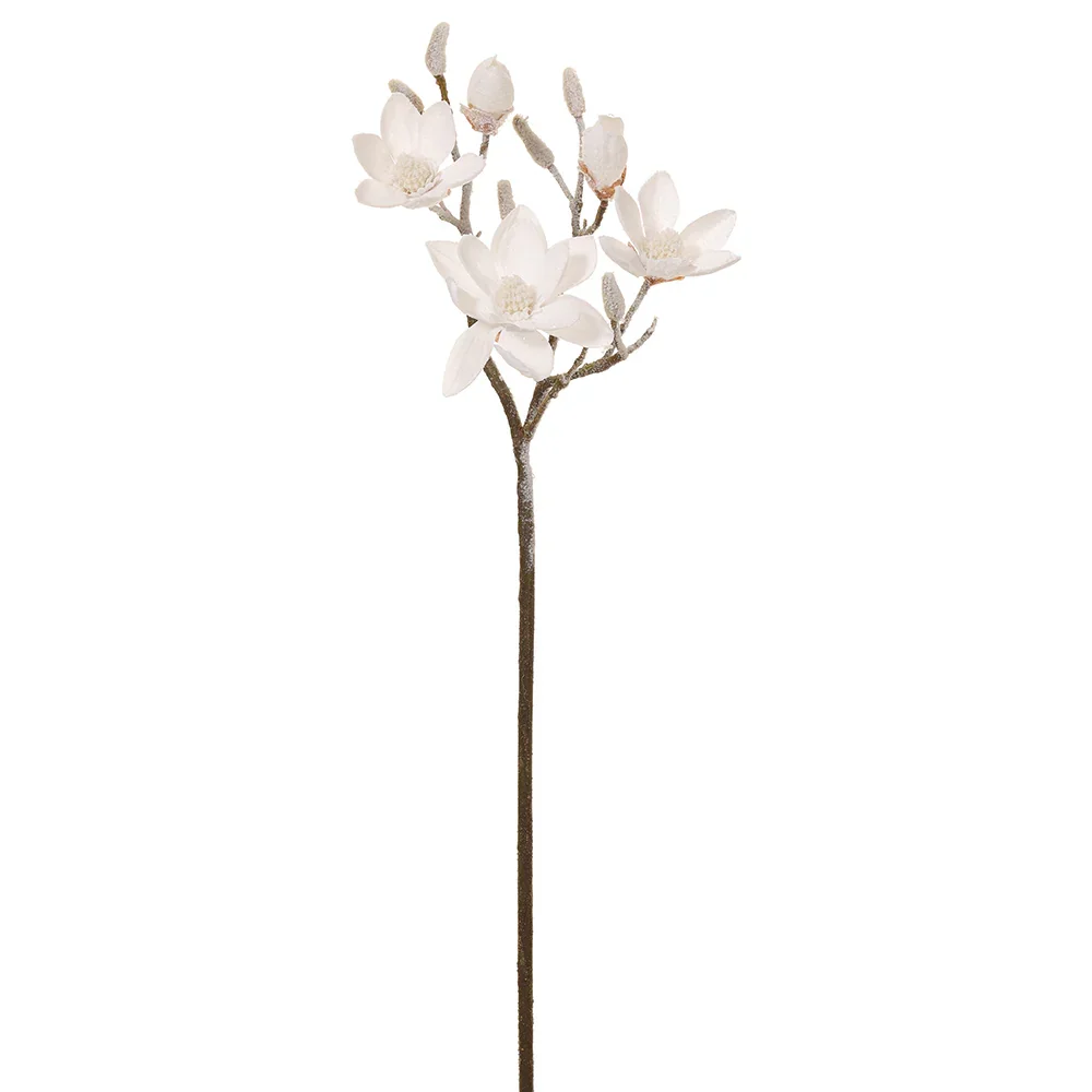  Snowy Magnolia 