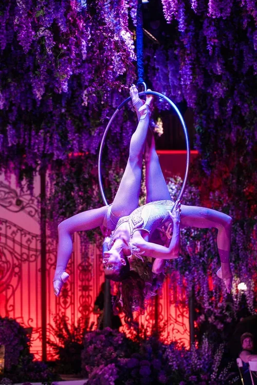 Aerial performer at a purple wedding theme reception with wisteria decor