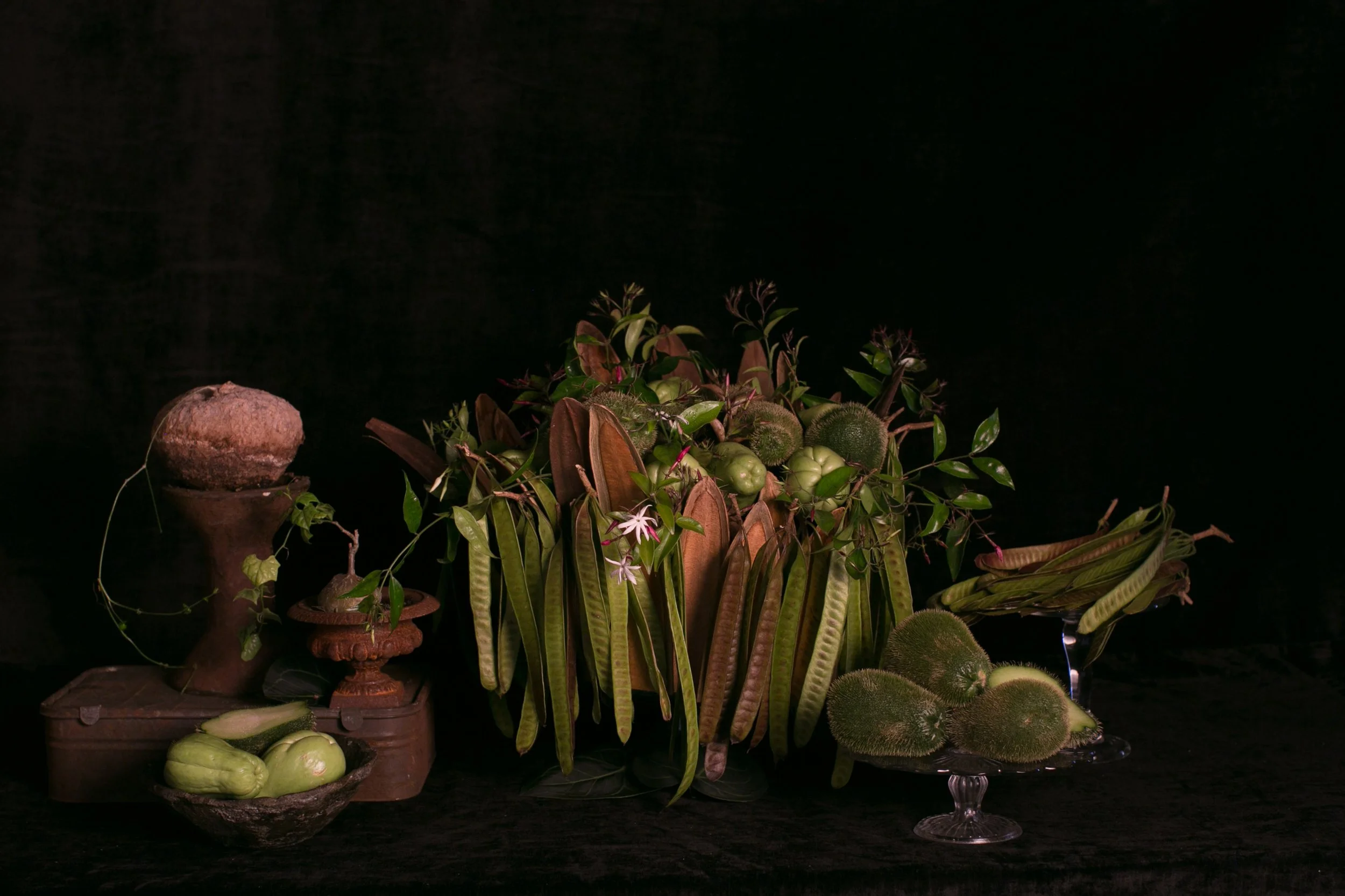 Set Design - Garden Design Magazine Shoot