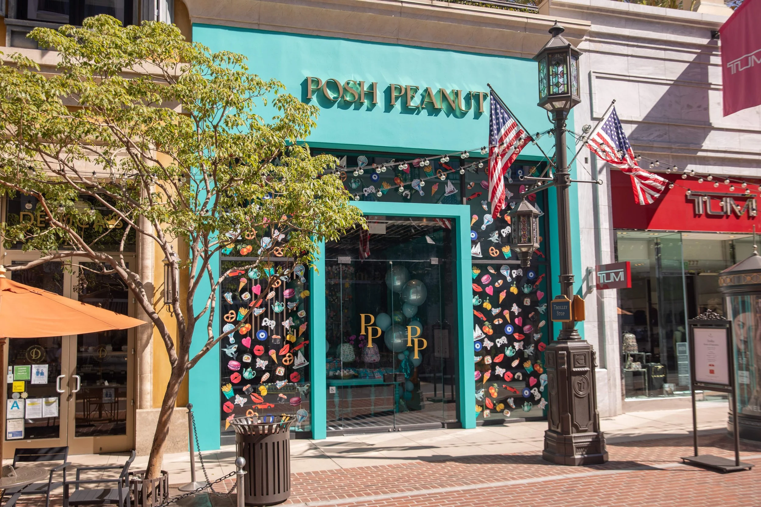 Concept Design Services - Pop Up Store Creator for Posh Peanut in Americana 