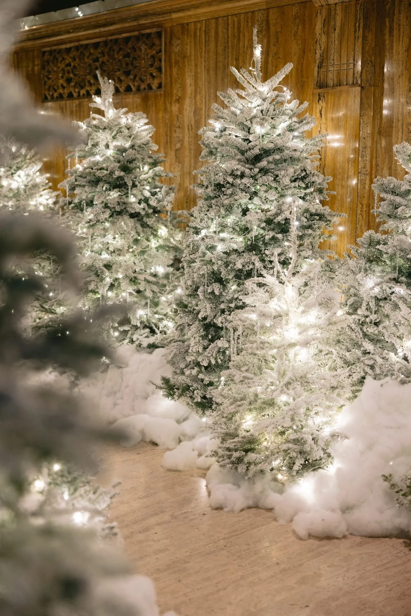 Flocked white Christmas trees with warm white lights and faux snow, designed by Eddie Zaratsian in Los Angeles