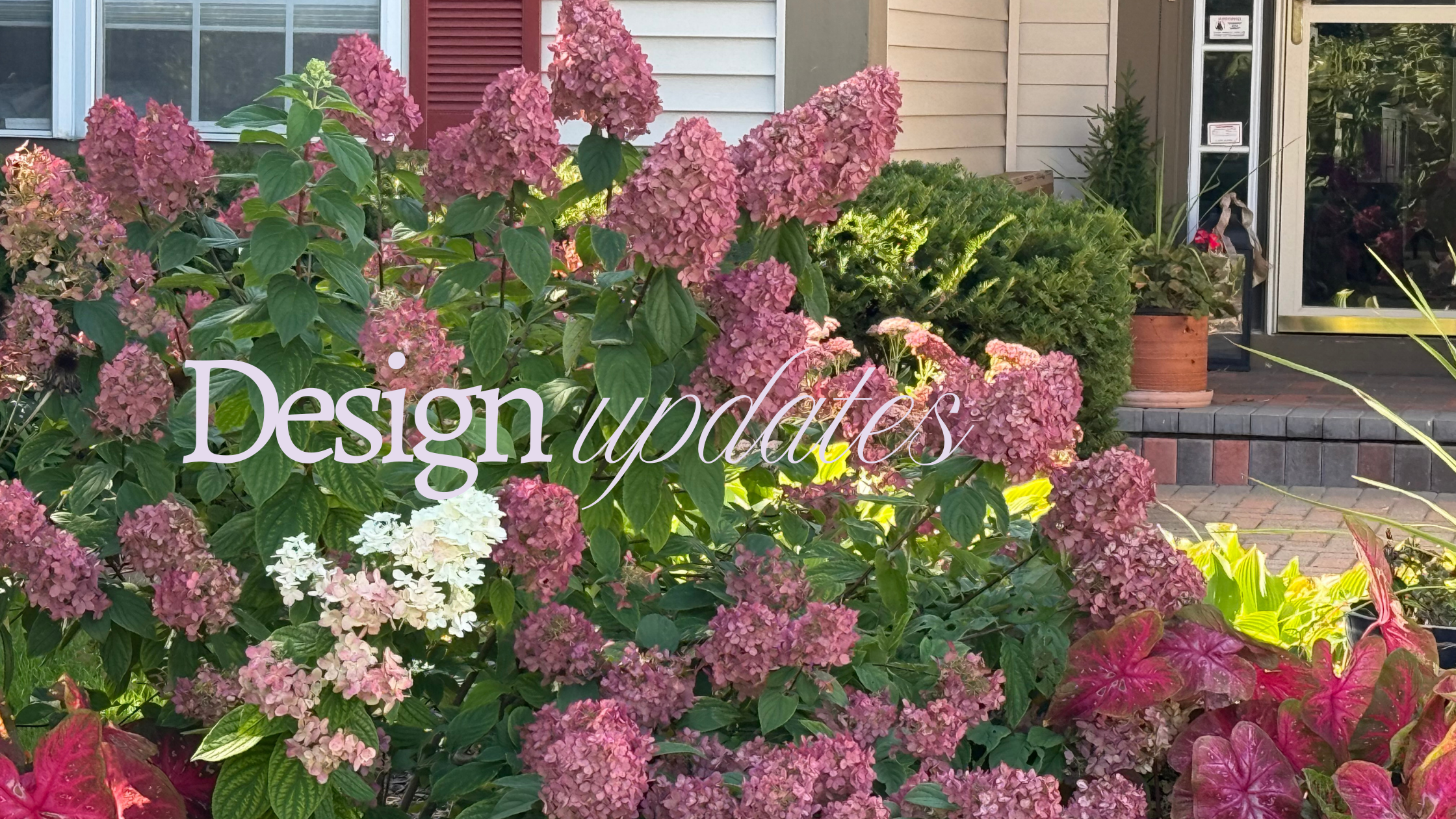 New Beginnings…