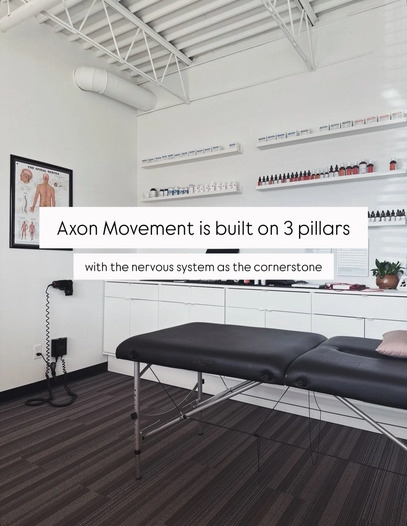Axon Movement is built on three pillars.

I. Natural medicine and functional health.
II. Neuromuscular care for pain and movement.
III. Neuroemotional reset.

Most approaches focus on one of these.

We work across all three because they are not separ