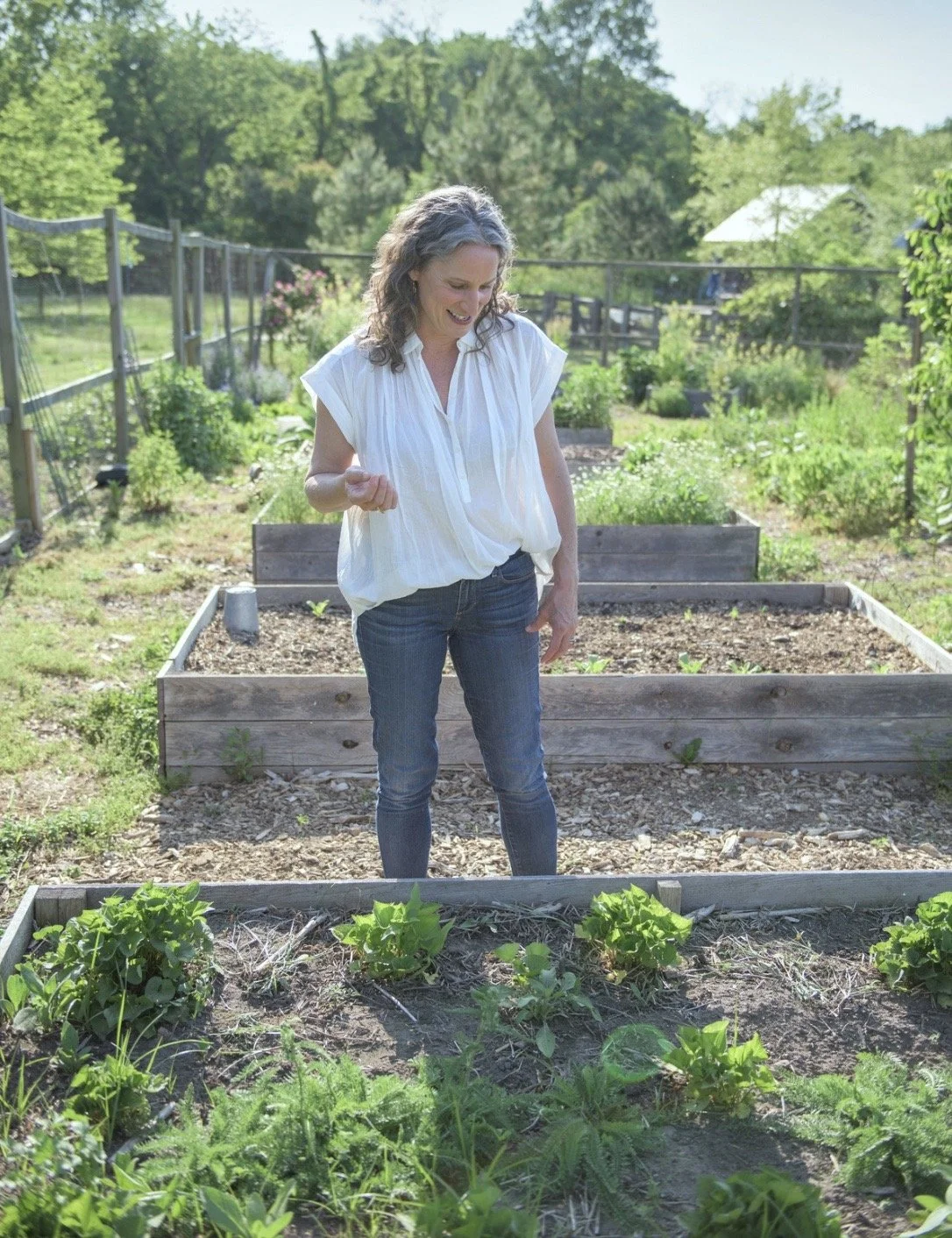 Deb garden boxes.jpg