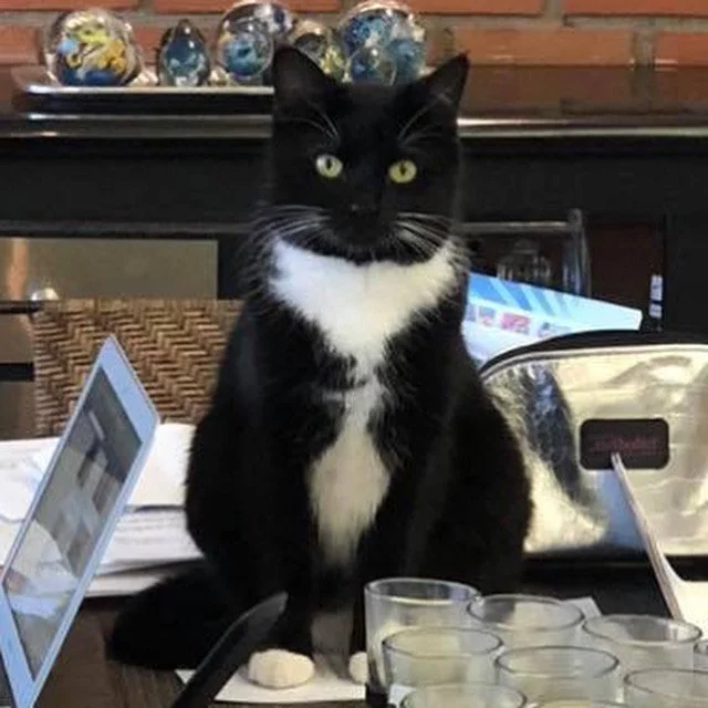 Today’s facts 10-27-2025