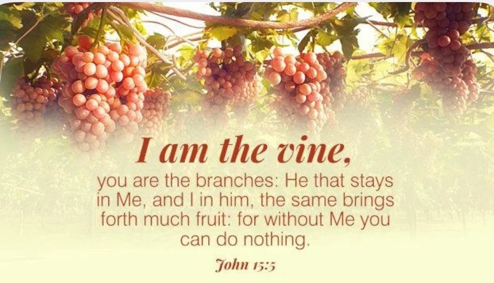 The Vine and Branches