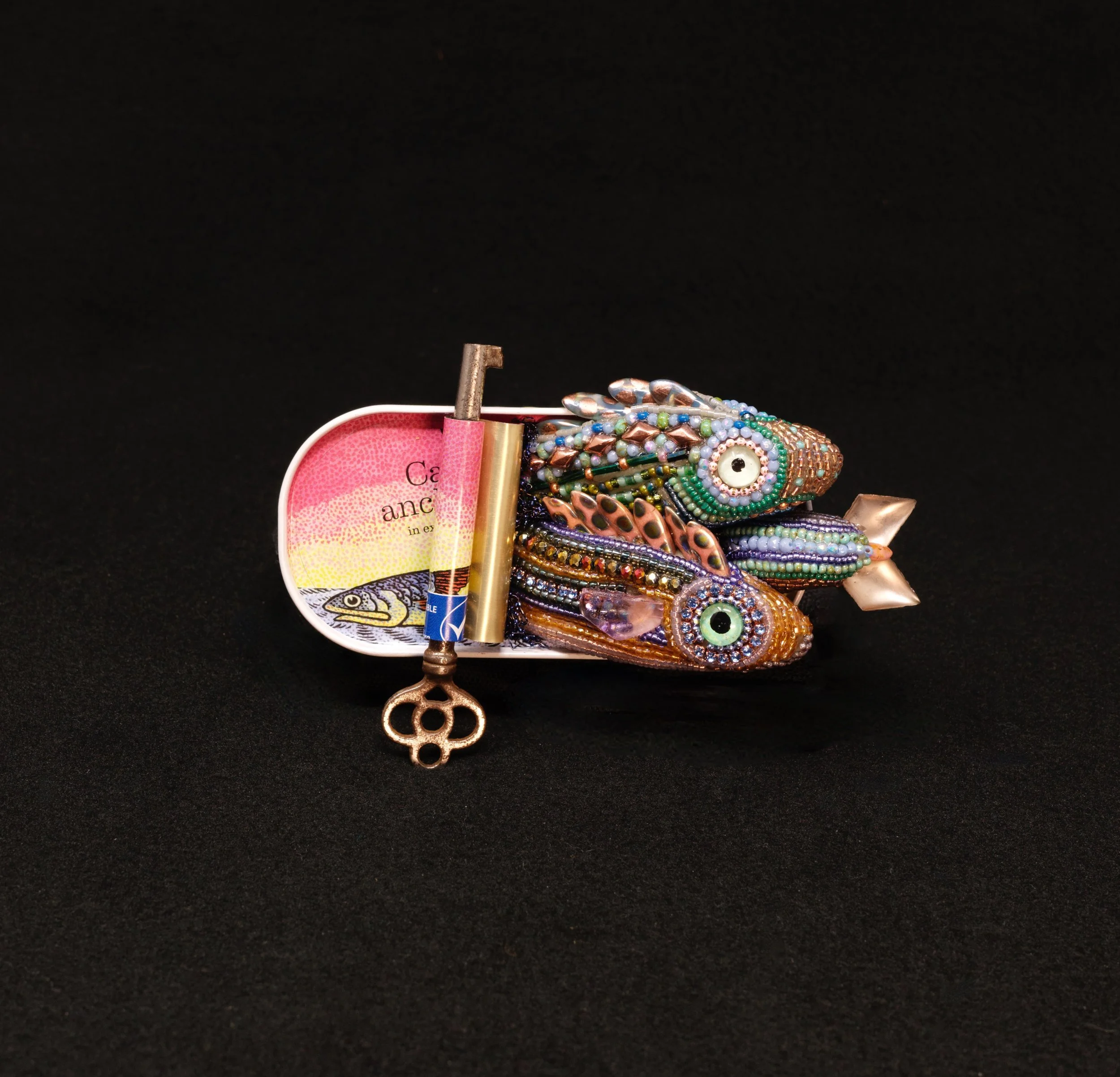 235 Cantabrian Dottyback