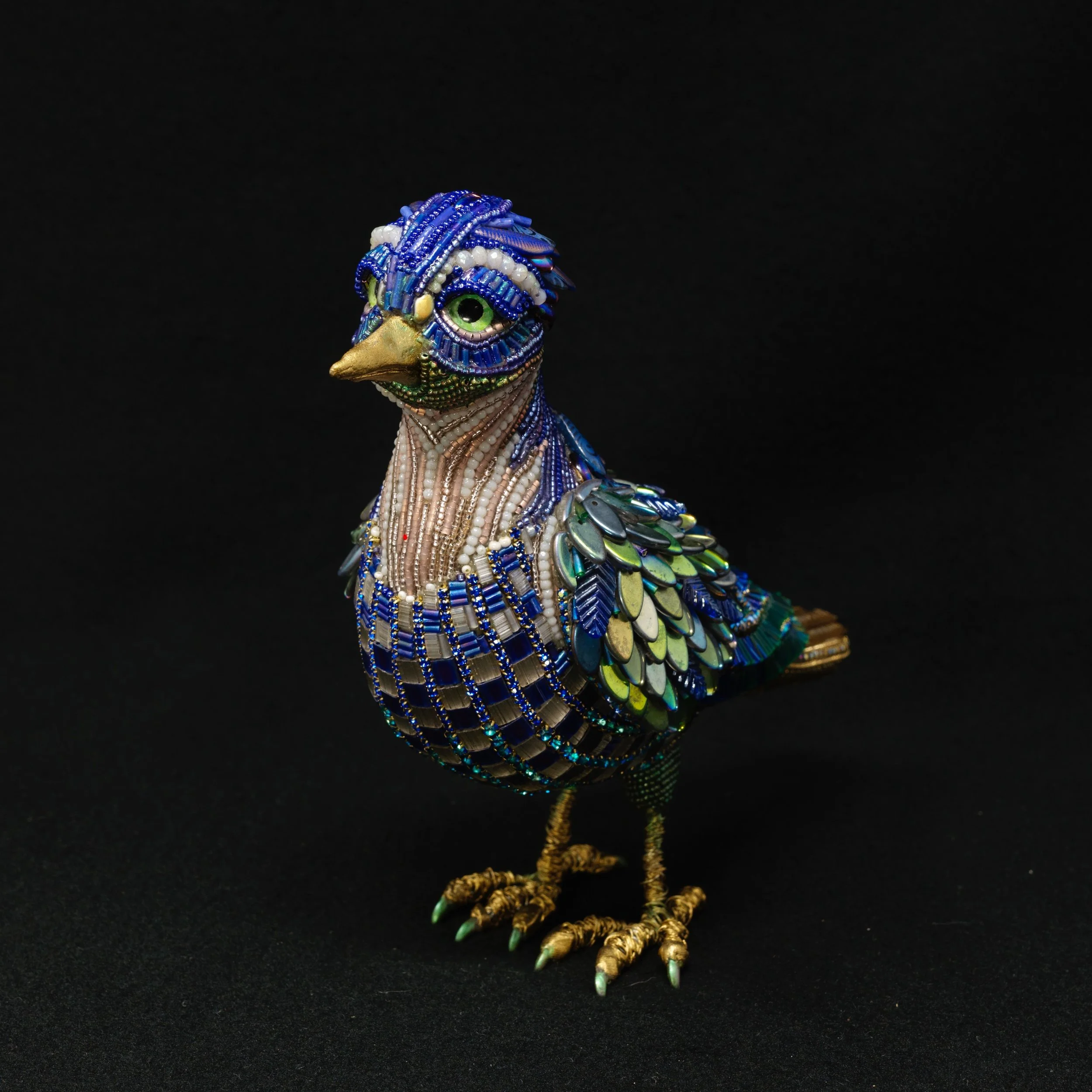 Blue Jay