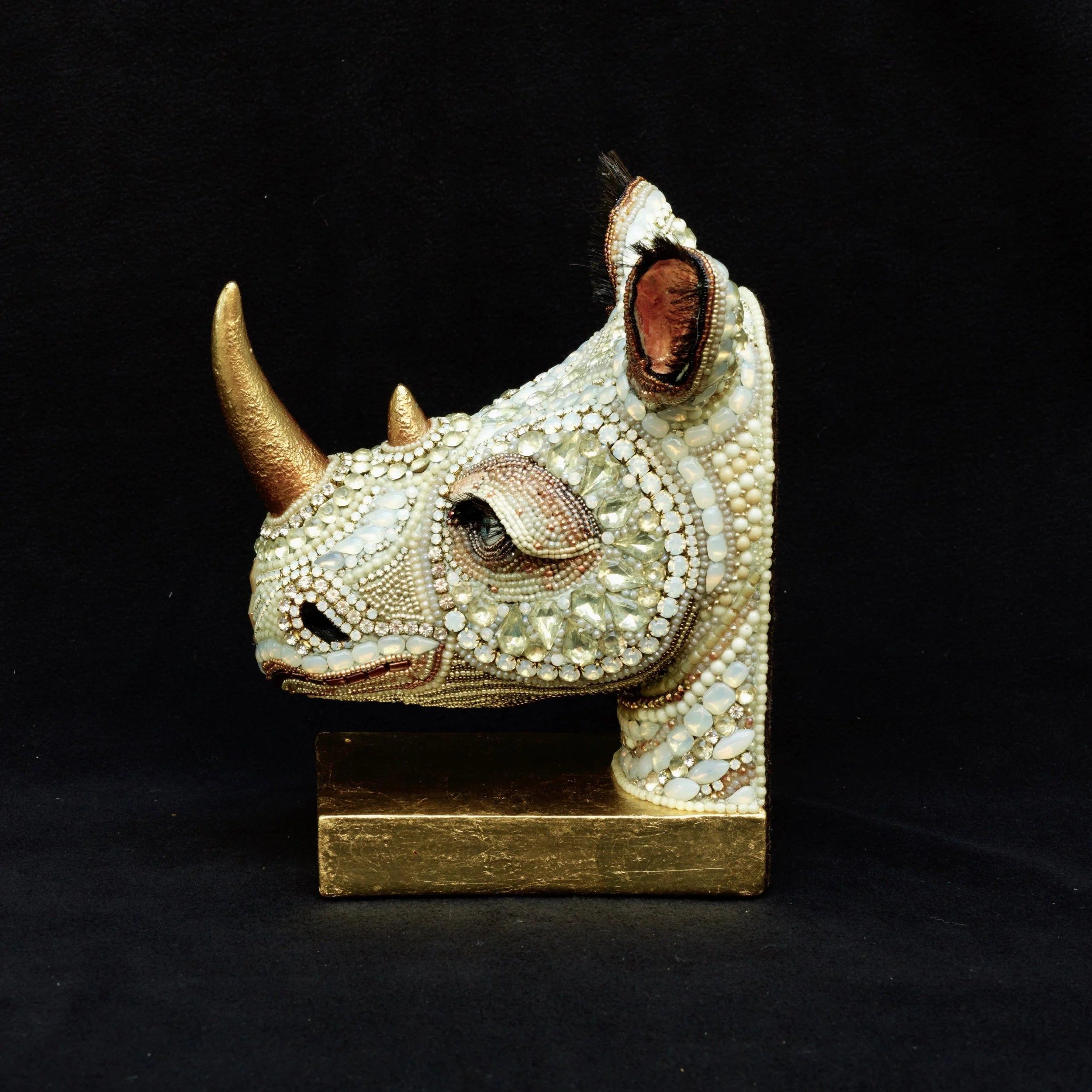 234WhiteRhino5.jpeg