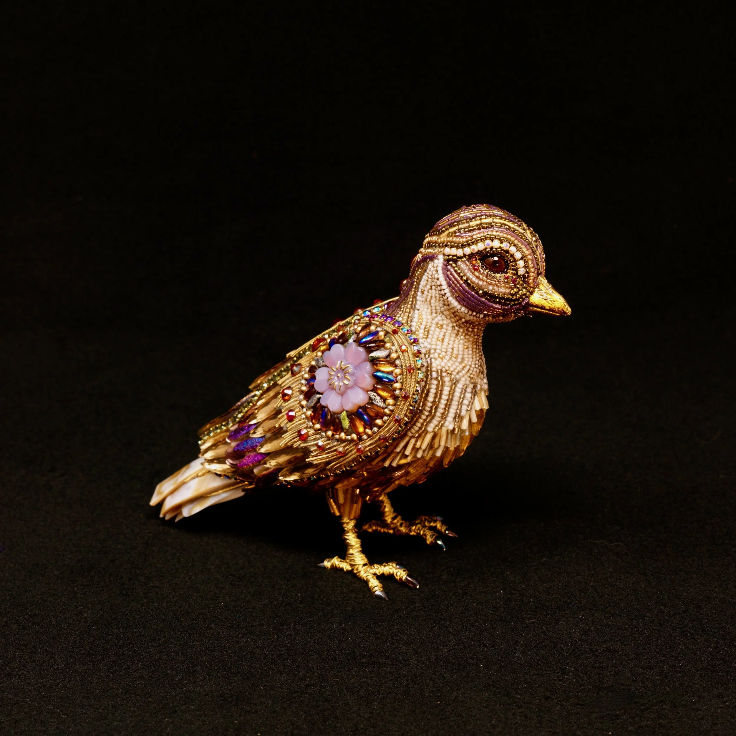 243 Purple Goldfinch
