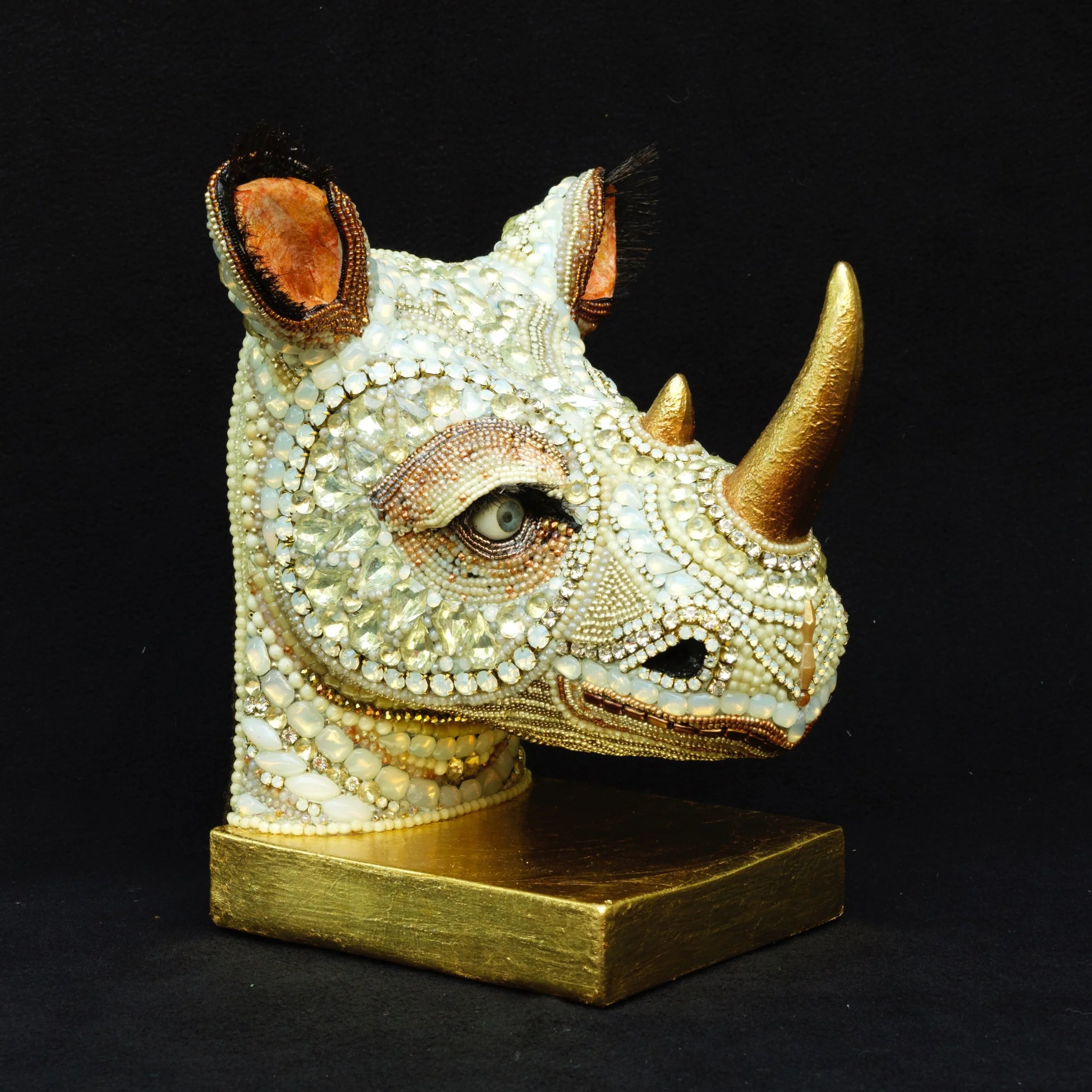 White Rhino