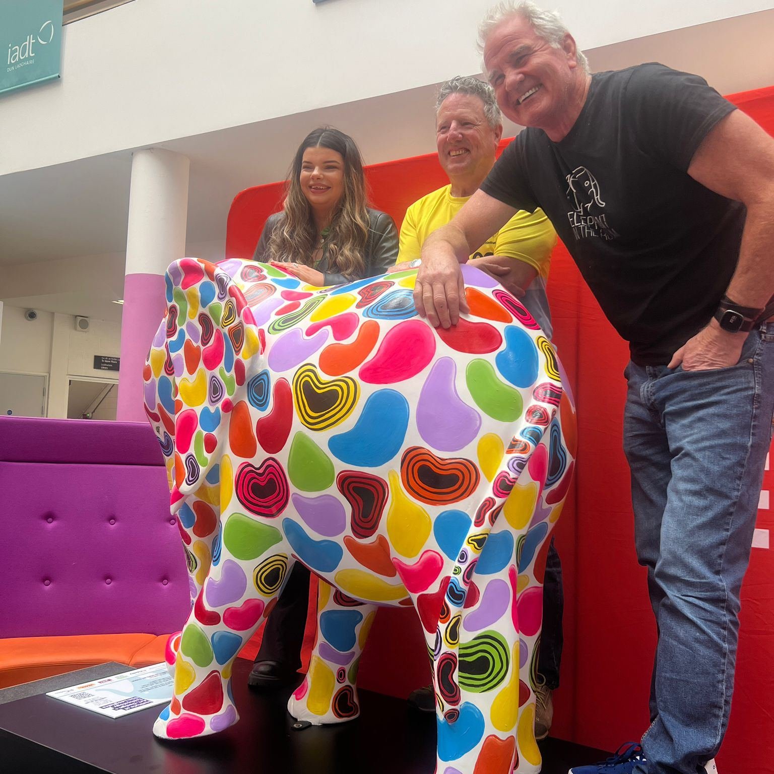 We are thrilled to unveil the latest addition to the Elephant In The Room herd, an exquisitely vibrant elephant painted by the talented Caoimhe Farrell and proudly sponsored by IADT. This striking sculpture was launched at IADT recently, symbolising 