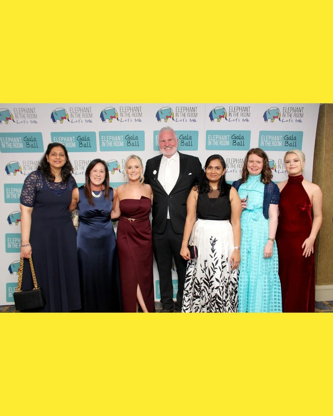 @elephantintheroommovement Gala Ball 2025