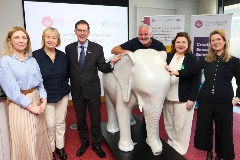 Welcome home Brent &mdash; and welcome to the herd University of Galway 💚
It was a special day, marking another step forward for the Elephant in the Room Movement.
Each Ellie represents a safe space for conversation, connection and understanding &md