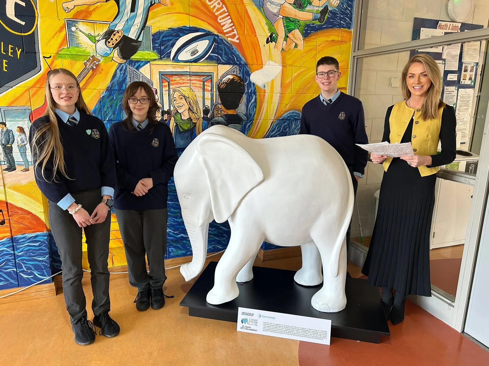 Delighted to see photos from Finn Valley College of their Student Wellbeing Team (EITR team) who have rolled out a whole school art competition to see who in their school community would like to design/ have the most creative concept / idea for our E
