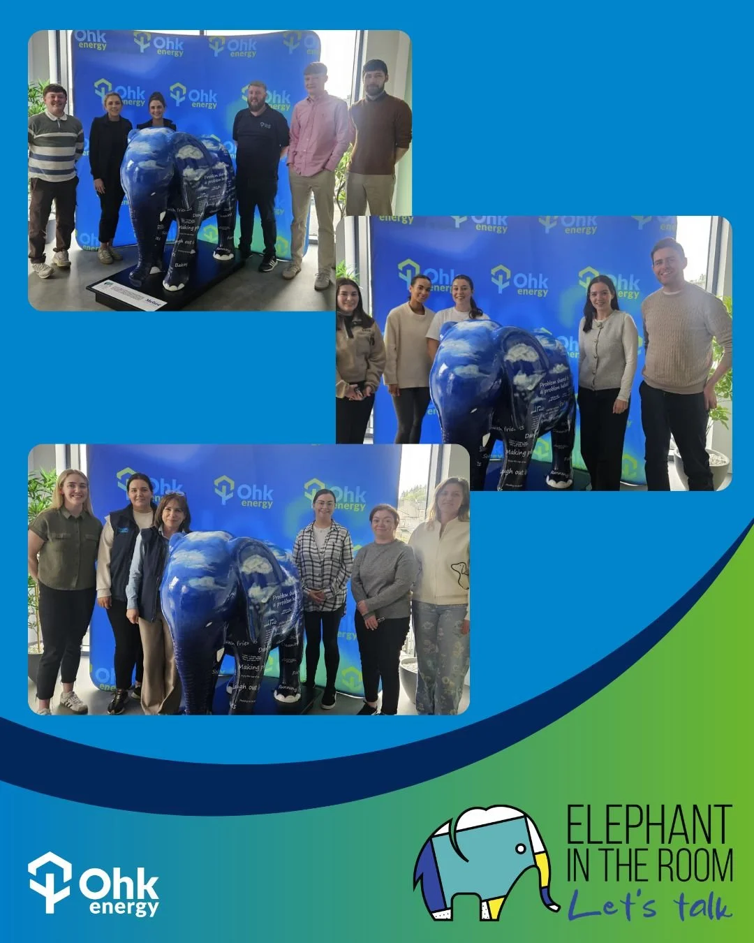 Ohk Energy Welcomes Cara, Their Elephant in the Room Sculpture