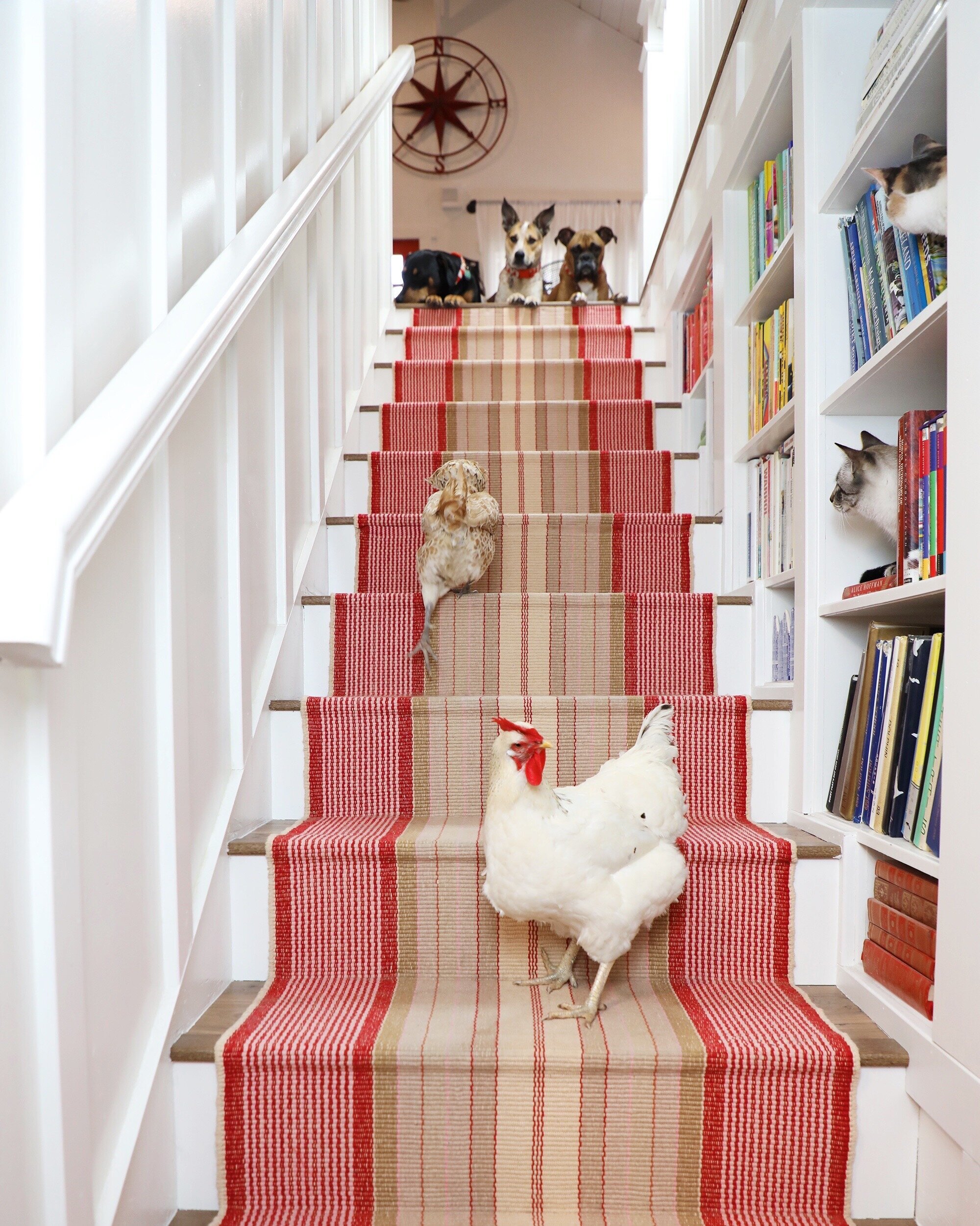 DIY Stair Runner Install - The Sweet Beast