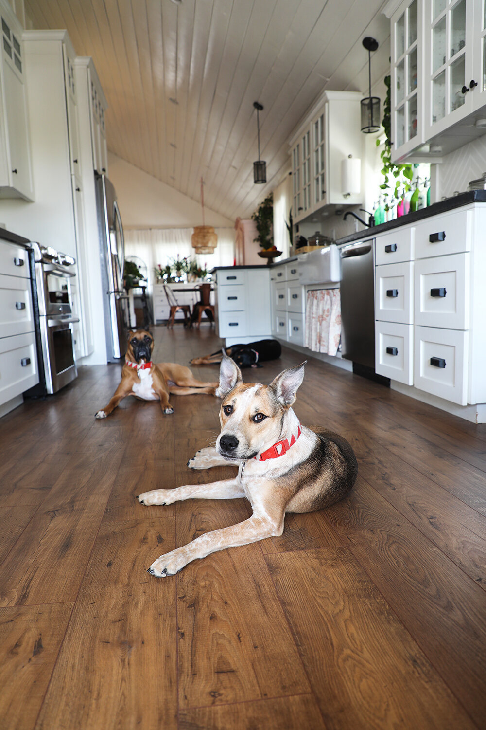 Pergo 2024 waterproof flooring