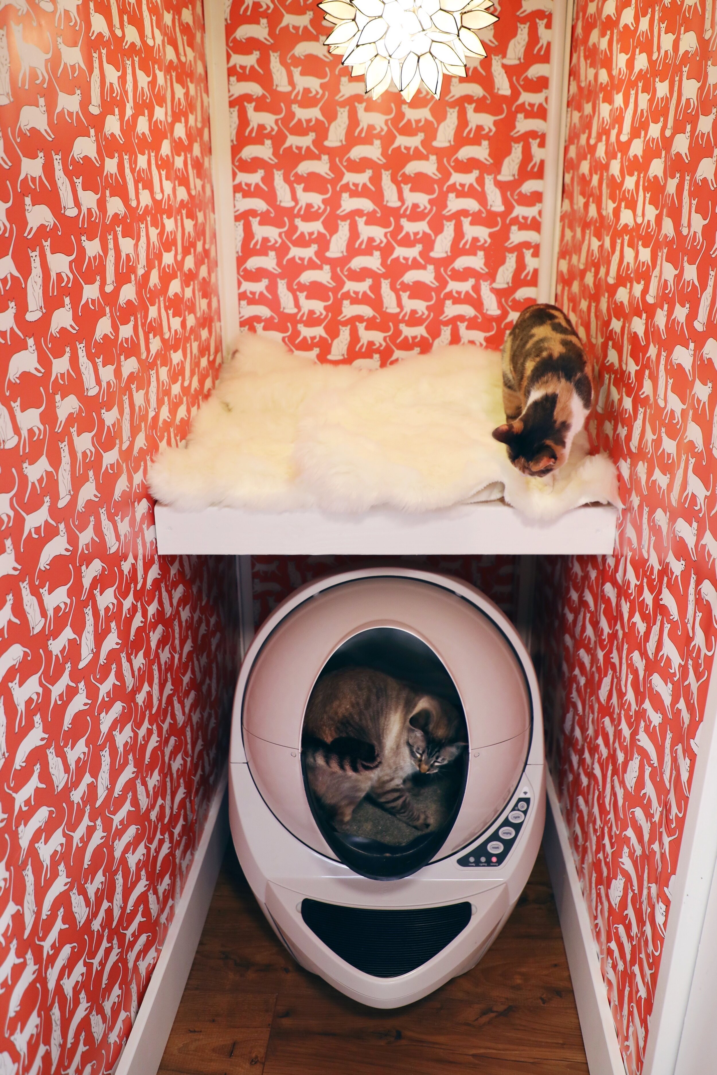 The Magical Litter Robot Drinking with Chickens craft cocktail recipes