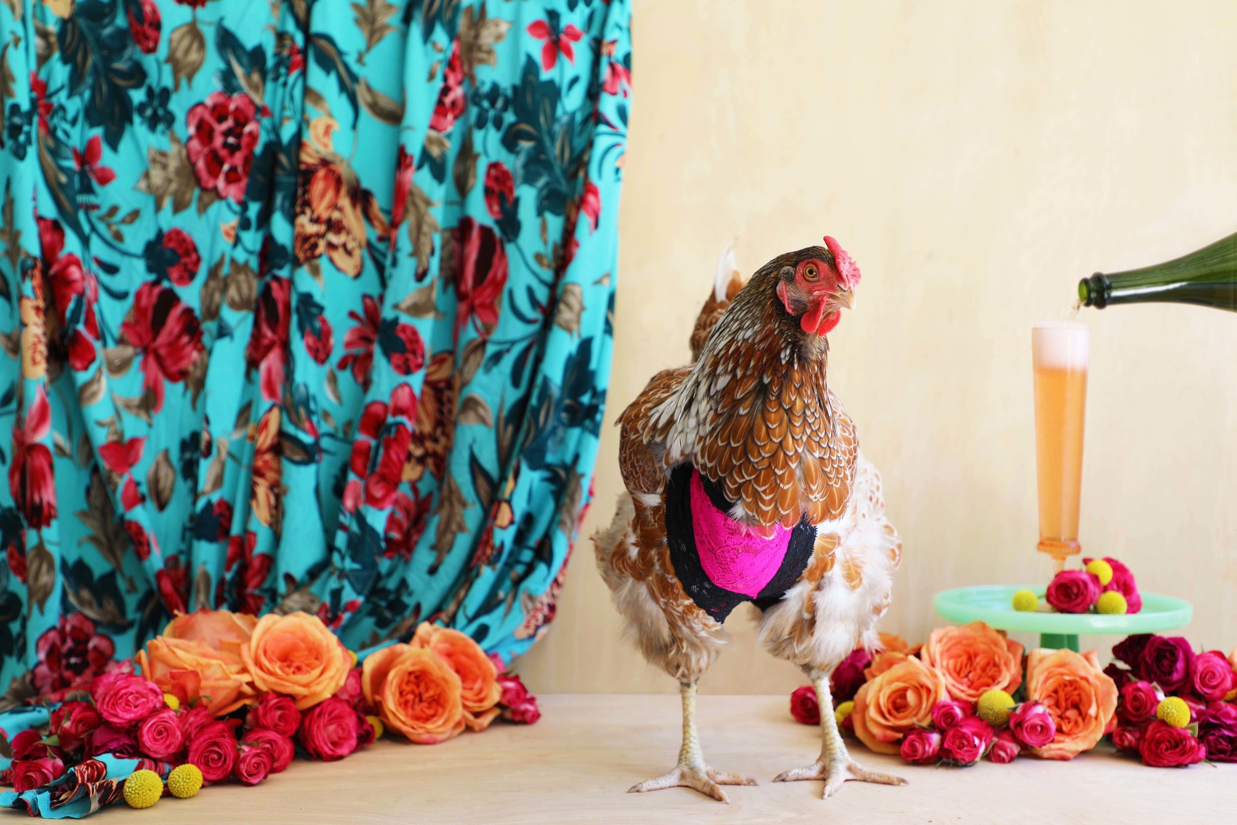 Chicken Lingerie — Drinking With Chickens- Craft cocktail recipes