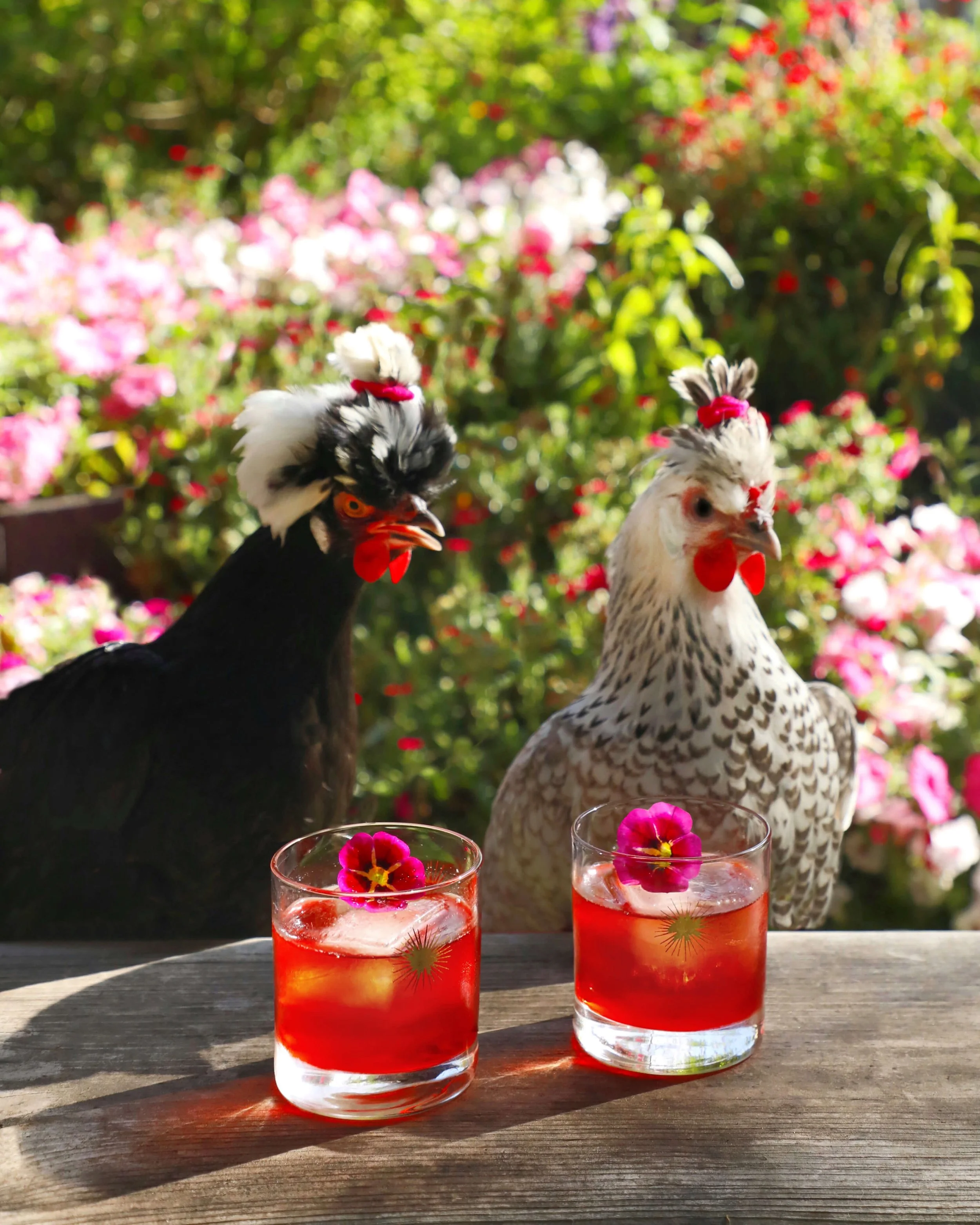 WHISKEY & BOURBON COCKTAILS