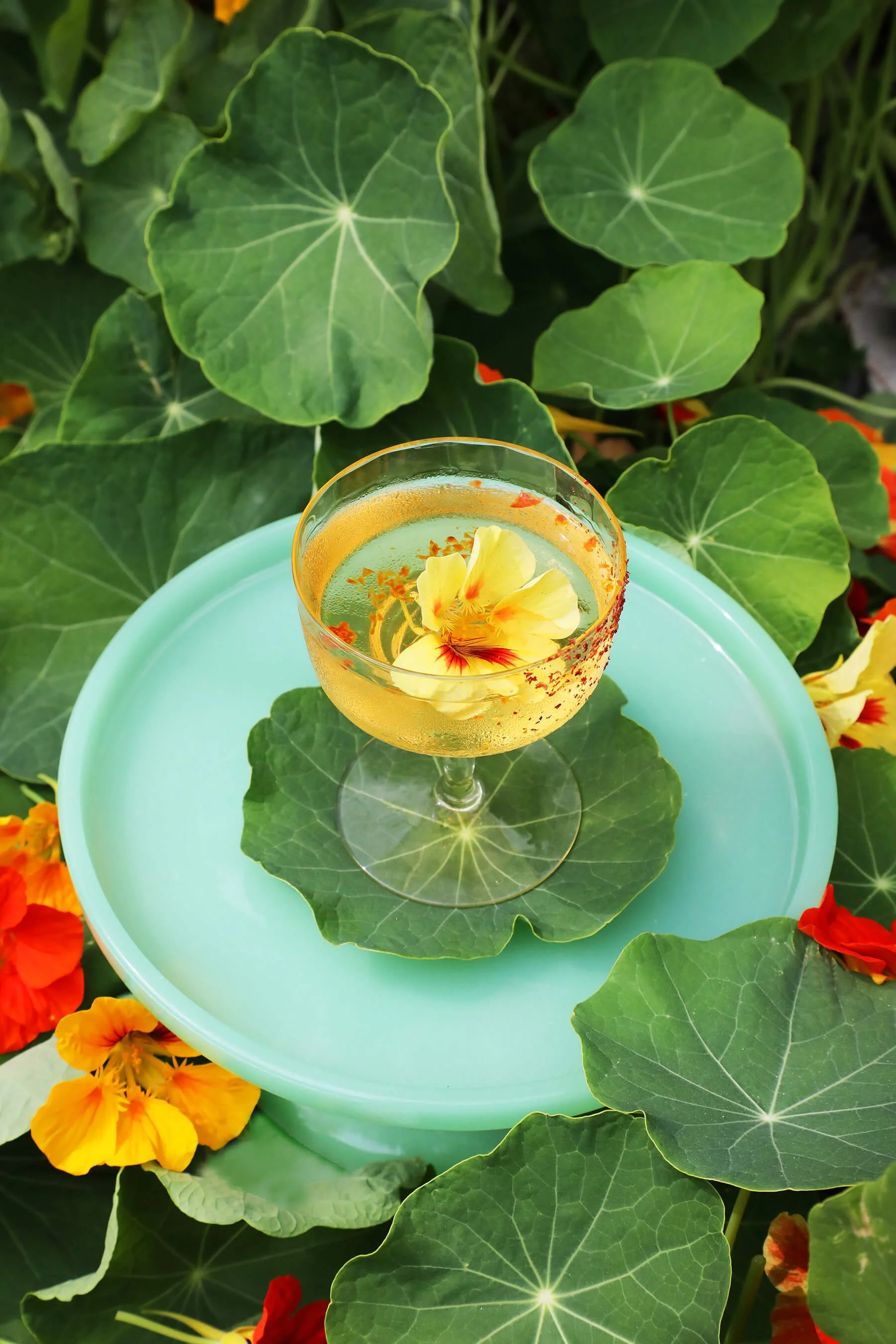 GIN COCKTAILS