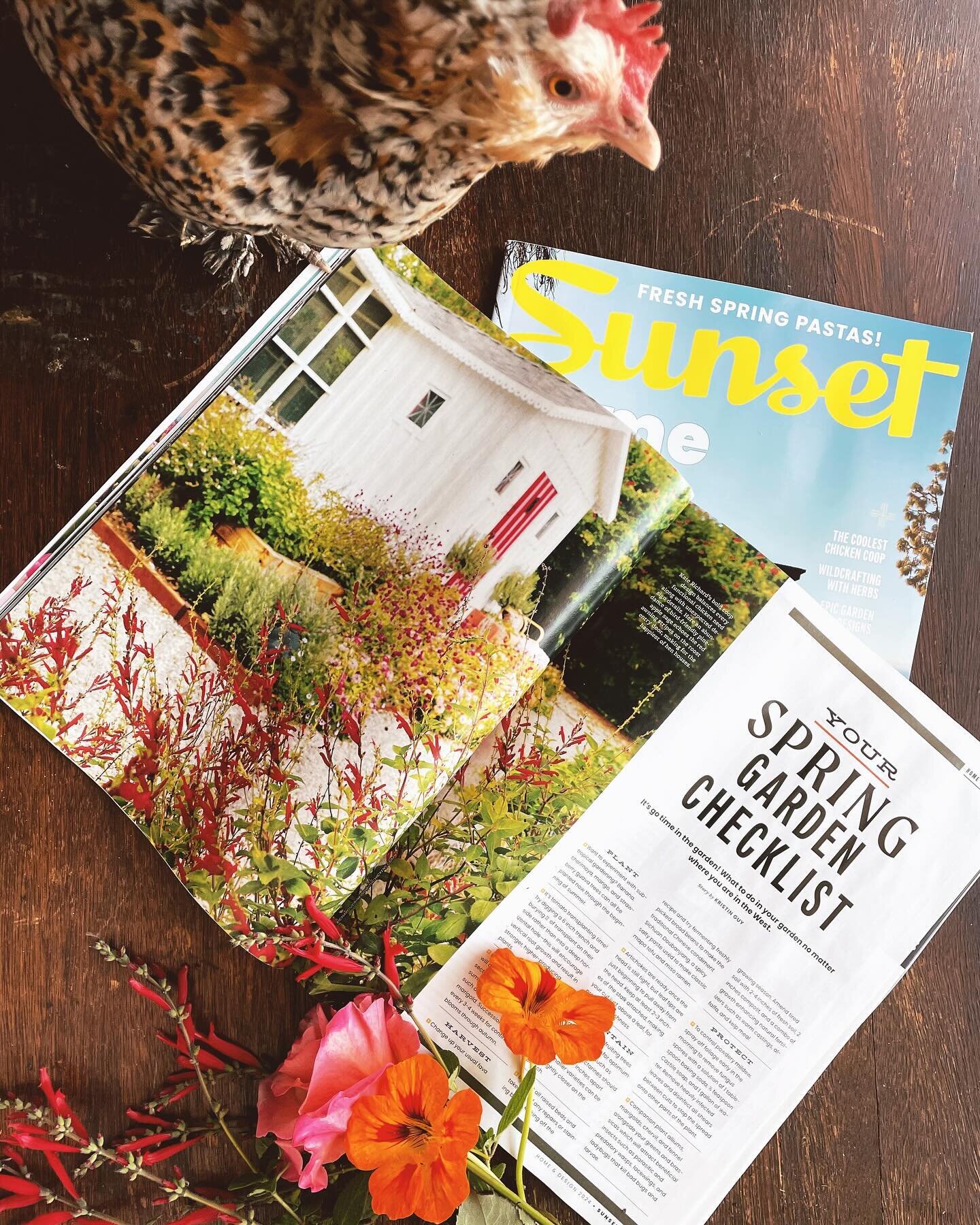 I am just beside myself to see our coop and chicken-friendly garden featured in the latest issue of @sunsetmag . They're on newsstands now--go get you one if you haven't already!
Big thanks and hugs to @tendingwest for the lovely article!!!
And shout