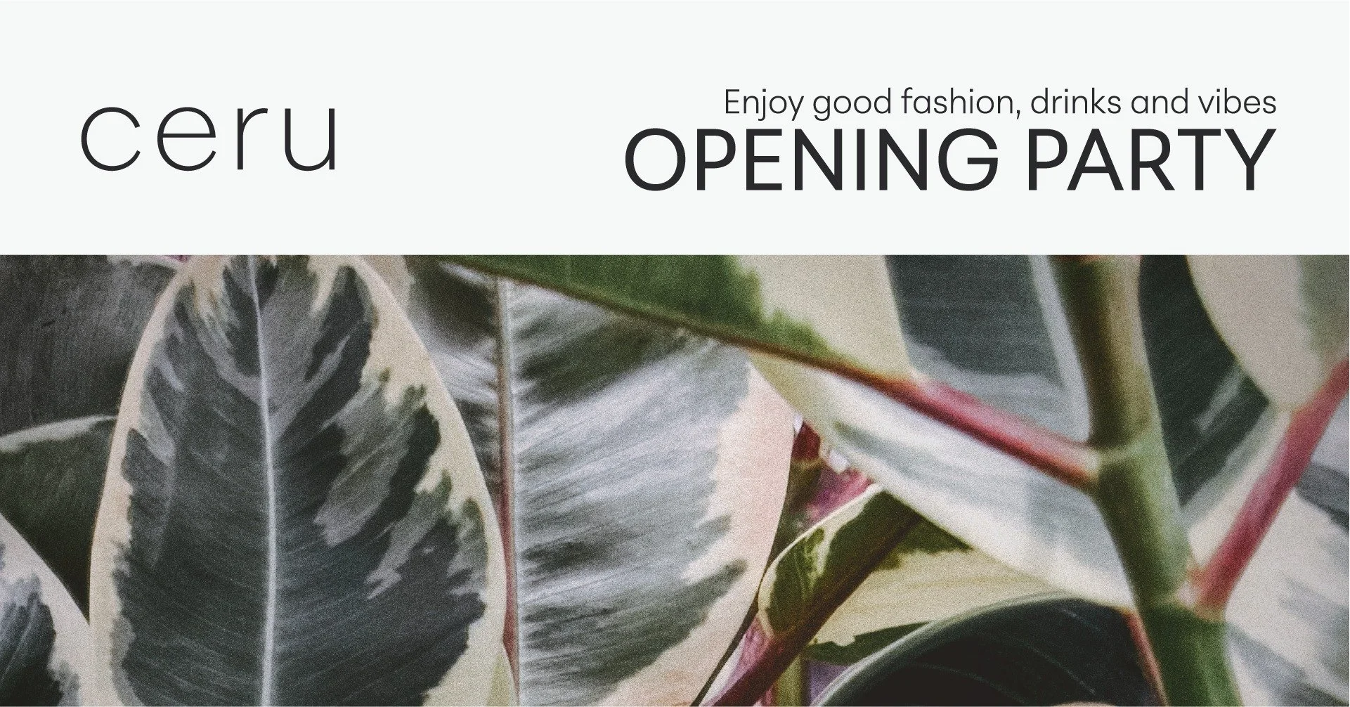 Ceru Opening Party