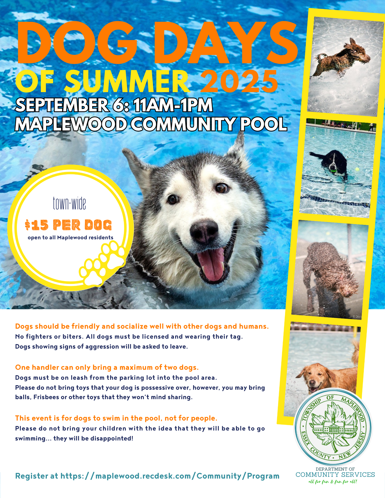Dog Days of Summer at the Maplewood Pool
