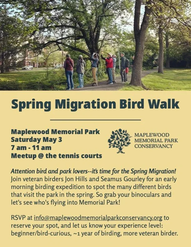 Spring Migration Bird Walk