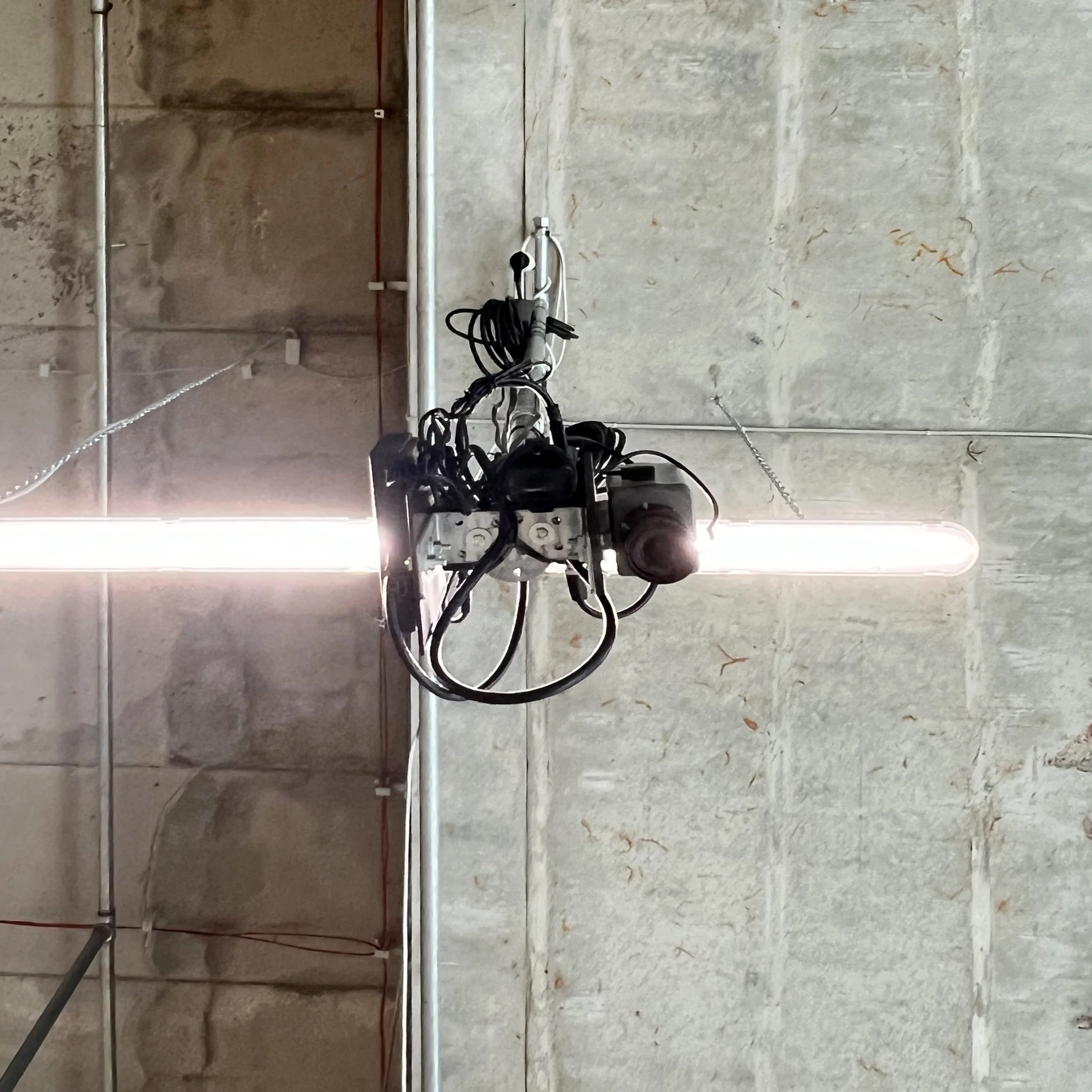 8_image00129_klein Kopie.jpeg