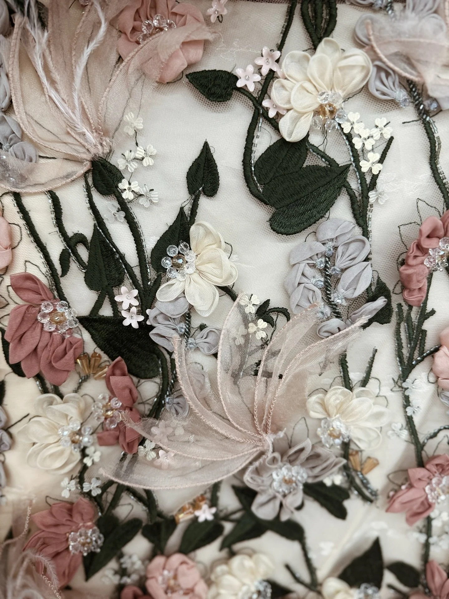 Spring 2026 - Jean Cintron