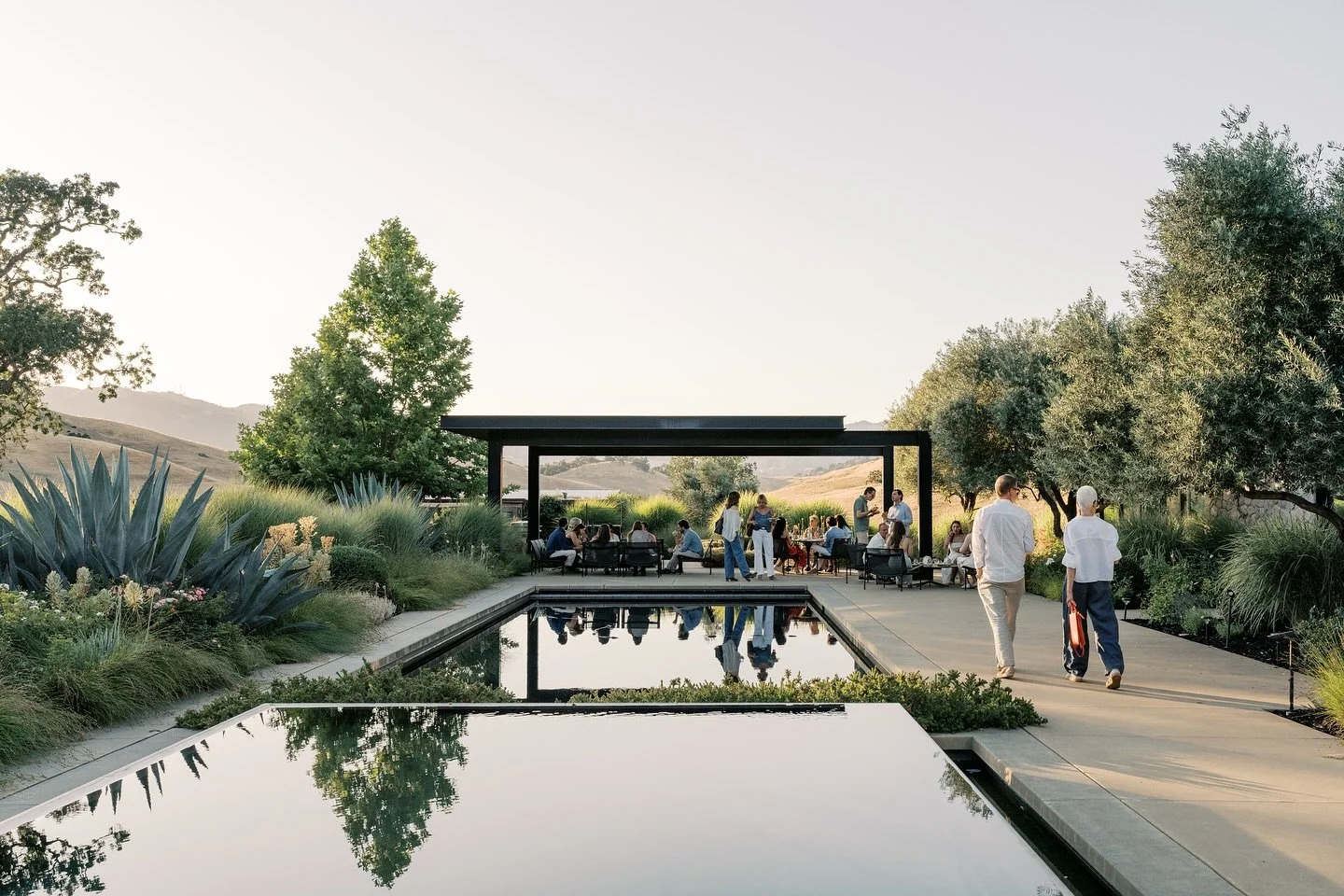 Calistoga summer evening > everything. 
#sonomacountyphotographer #calistogaphotographer #bayareaphotographer #napacountyphotographer